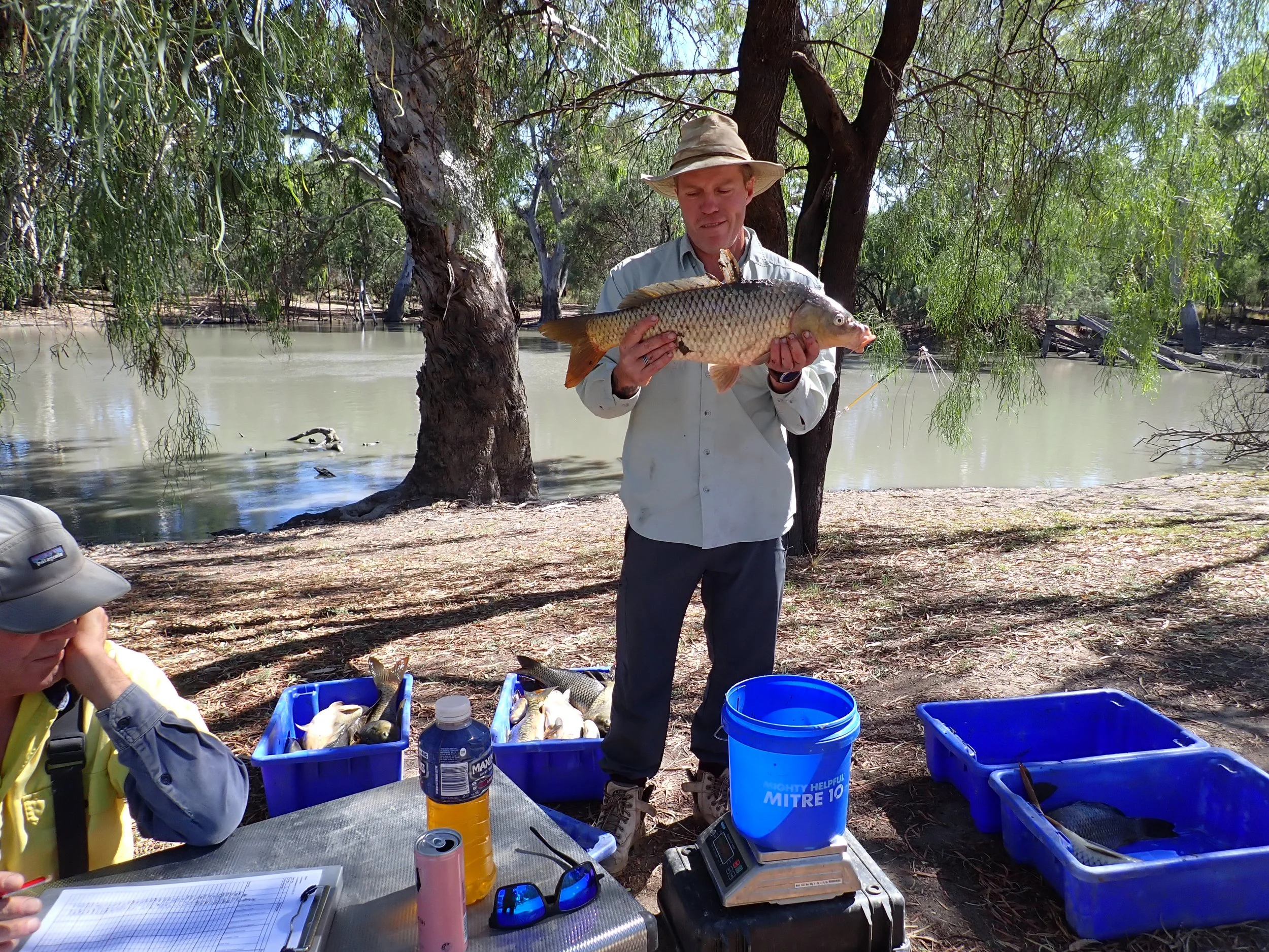 2025-26 - Year 1 - Colombo Creek Threatened Species Baseline Assessment
