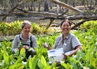 2021-22 Biological Control of Sagittaria 