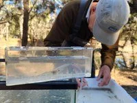 2025 Revitalising the Billabong Creek with Squadron Energy