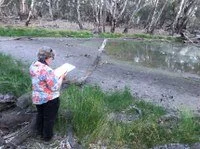 2019-20 Frog Survey - Upper Section of the Yanco Creek System