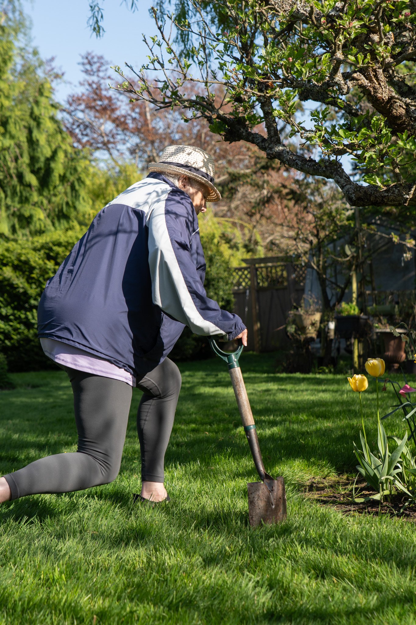 why In-Home physiotherapy IS BENEFICIAL for Neurological Rehab