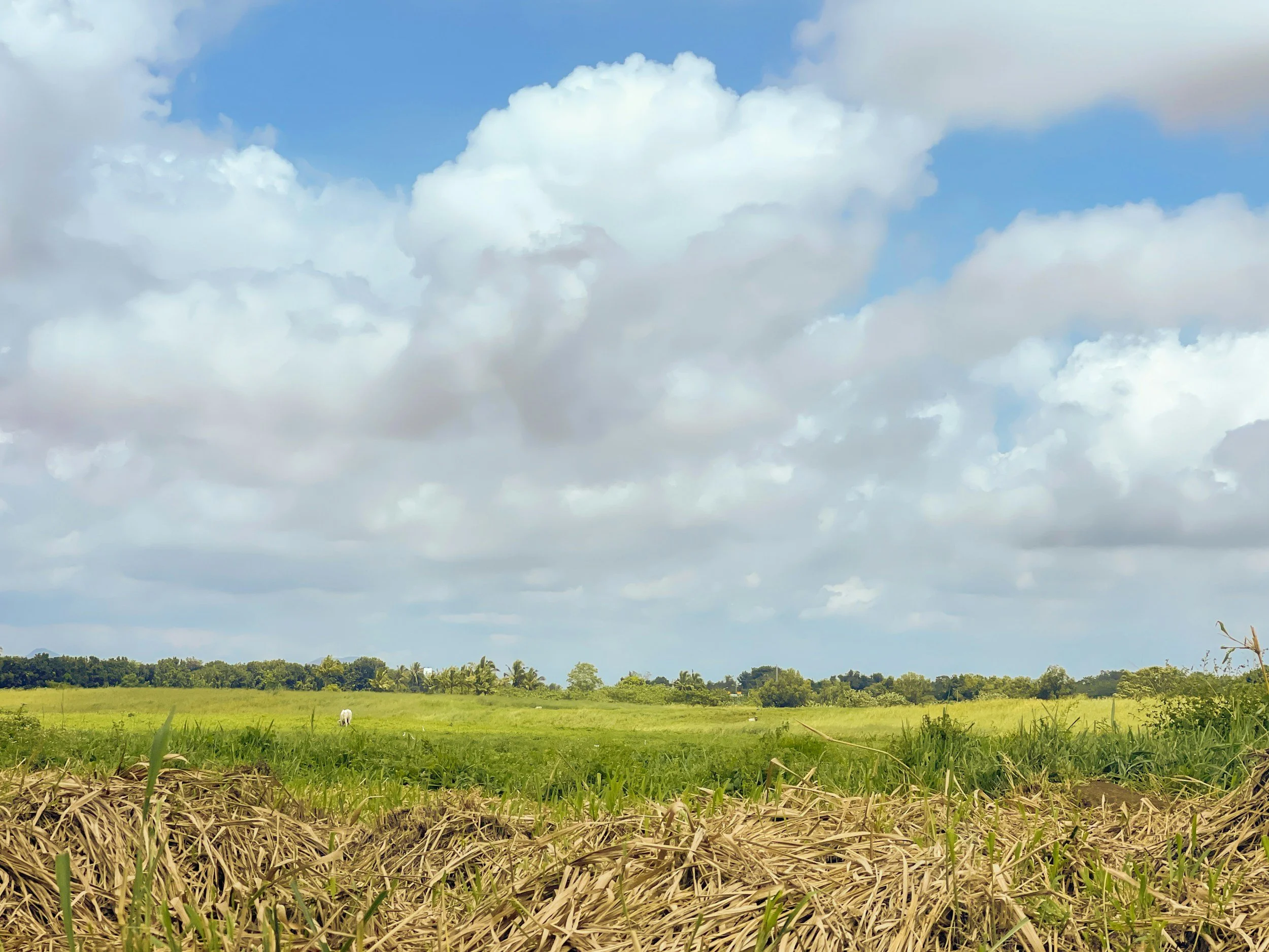 Submit Your Property details