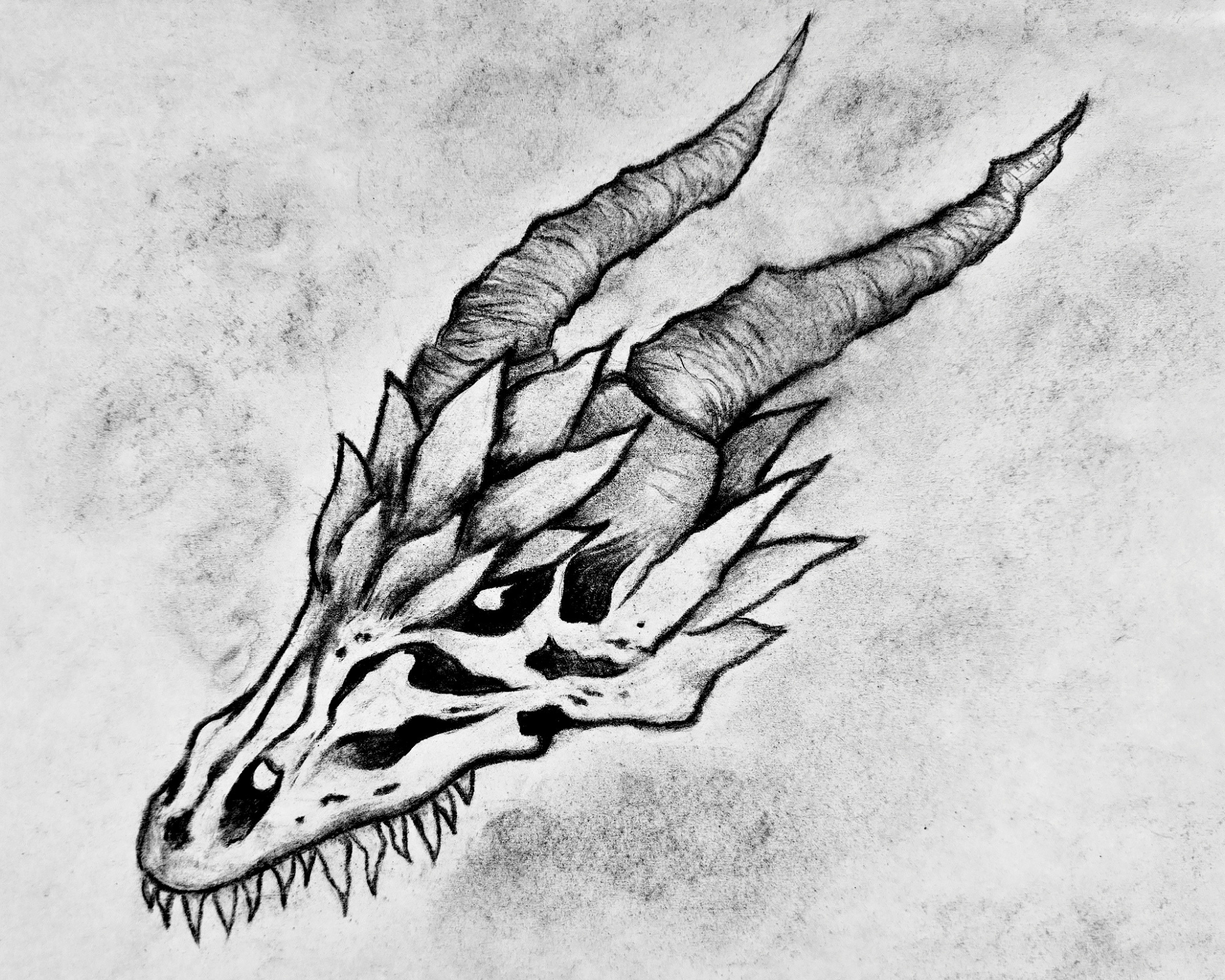 Willow Charcoal Dragon Sketch | Print