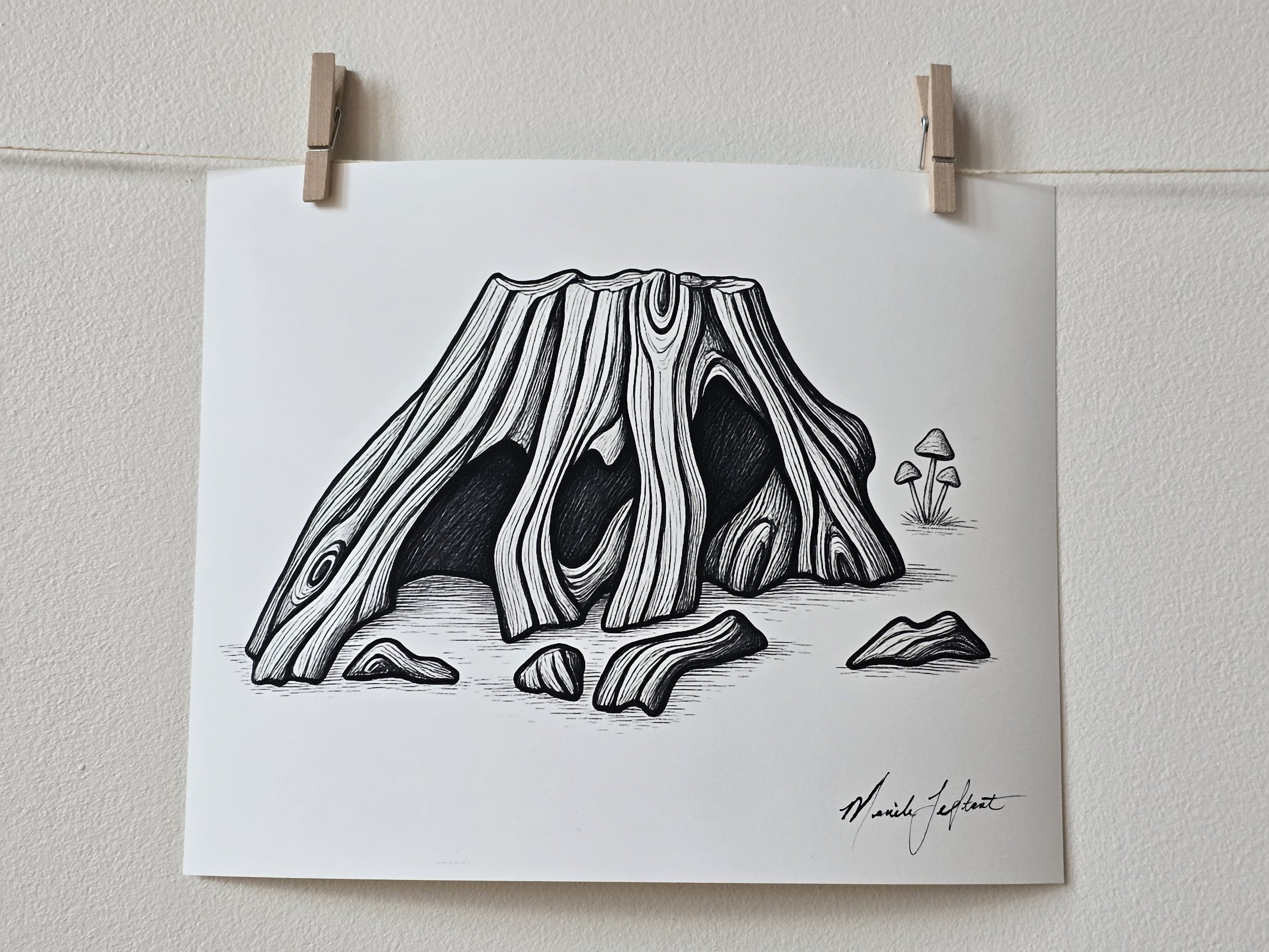 Zemyna - Nature Illustrations - Canadian Artists - Natural Home Decor - Tree Stump - Manitoba Artist - Nature Inspired Wall Art