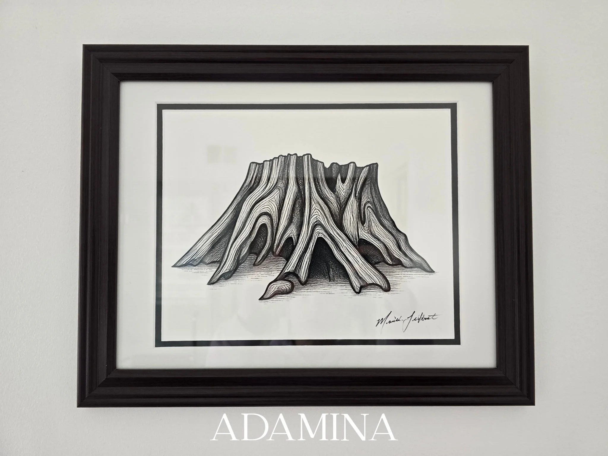 Modern Canadian art nature framed illustrations ready to hang. Tree stump B&W artwork for sale