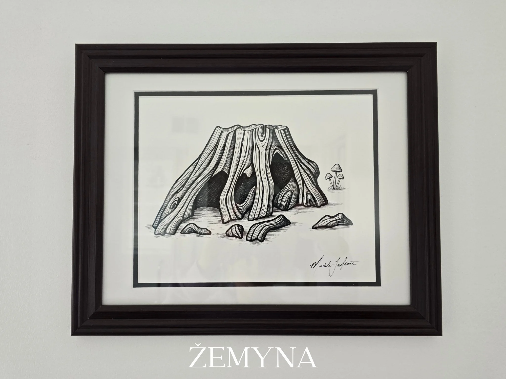 Modern Canadian art nature framed illustrations ready to hang. Tree stump B&W artwork for sale