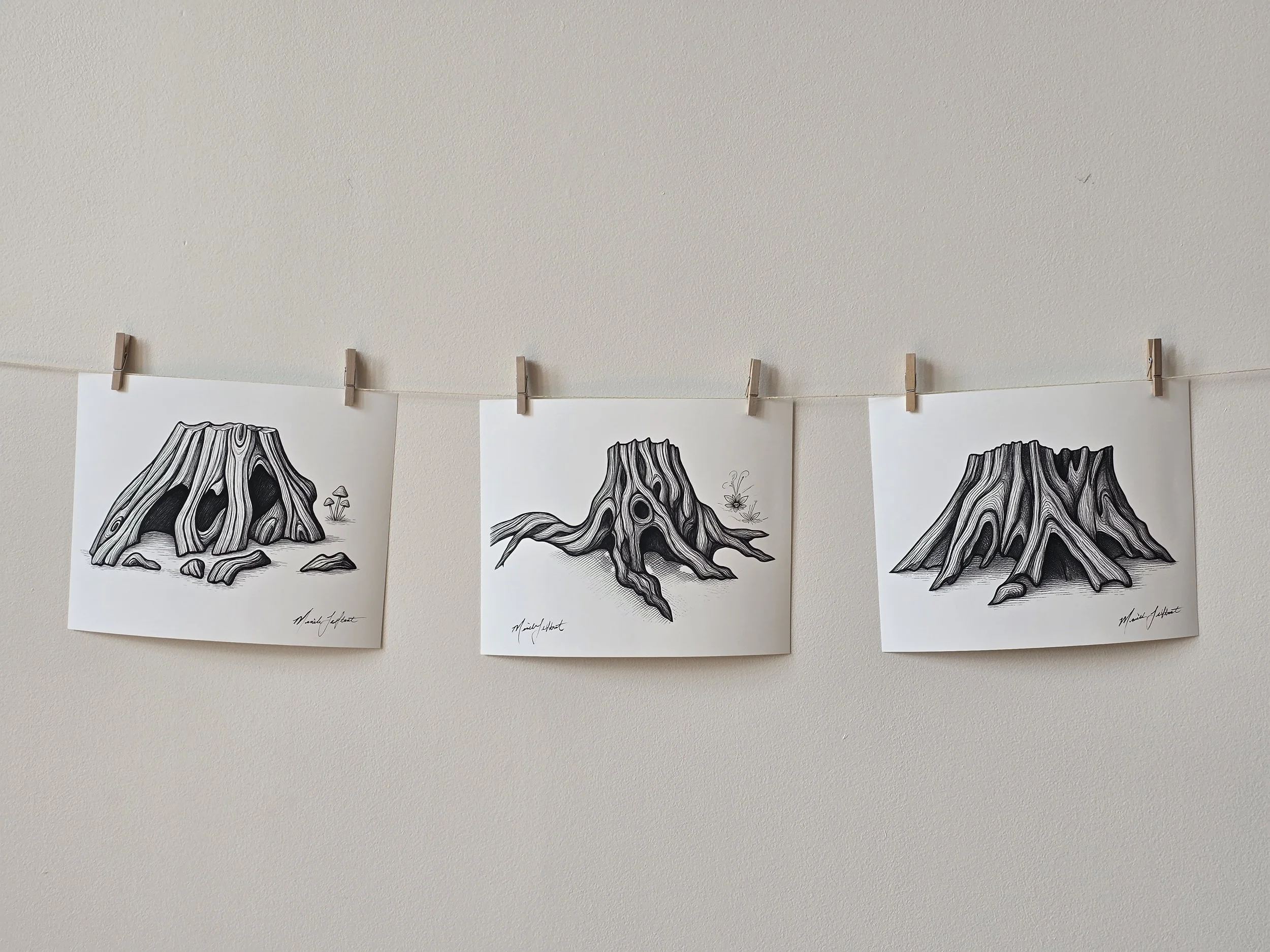 Zemyna - Nature Illustrations - Canadian Artists - Natural Home Decor - Tree Stump - Art Prints for Home - Triptych Wall Art