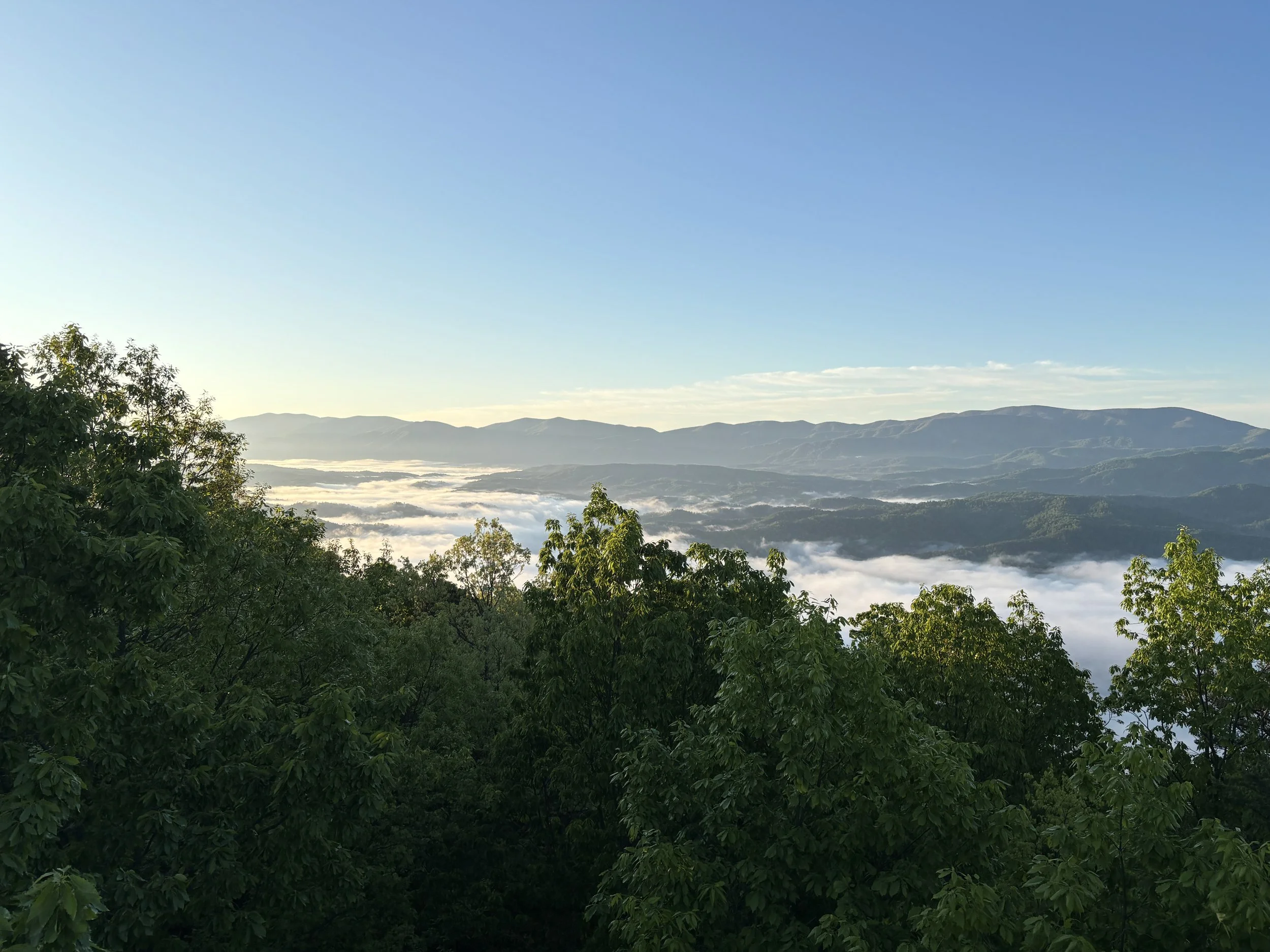 A scenic view of a landscape with lush green trees in the foreground, fog-covered valleys in the middle distance, and mountain ranges under a clear blue sky in the background.