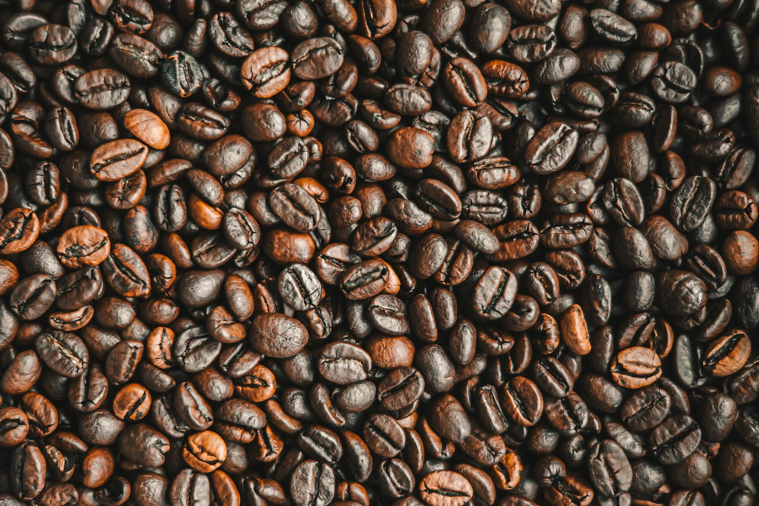 unsplash-image-OWmq7S7QEj0.jpg