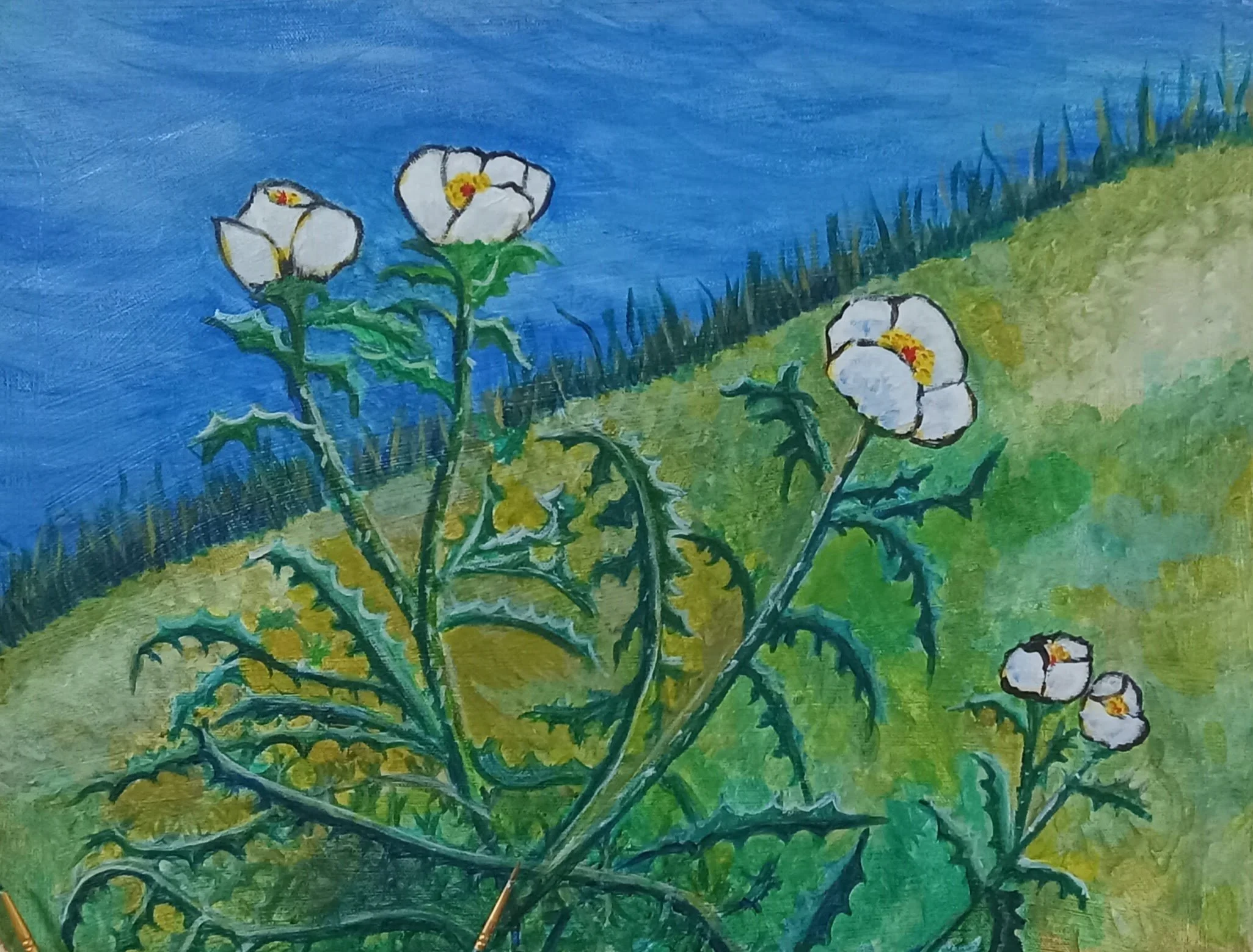 Amapolas Blancas