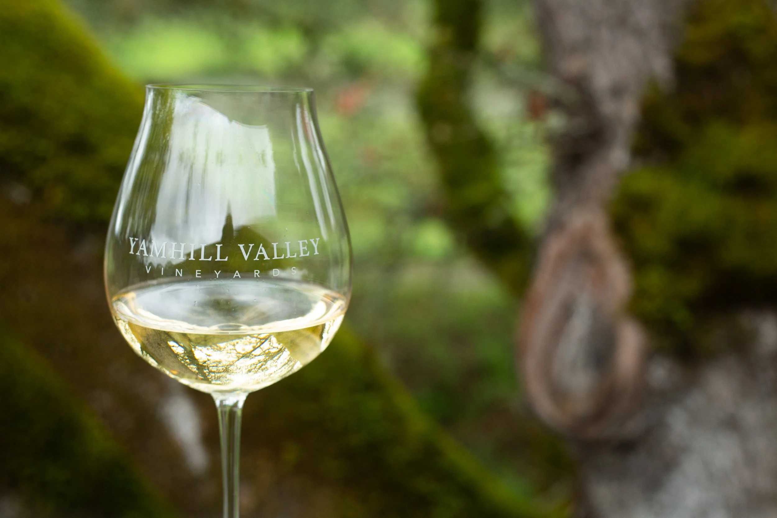Oregon_wineries_jessleask-9207.jpg
