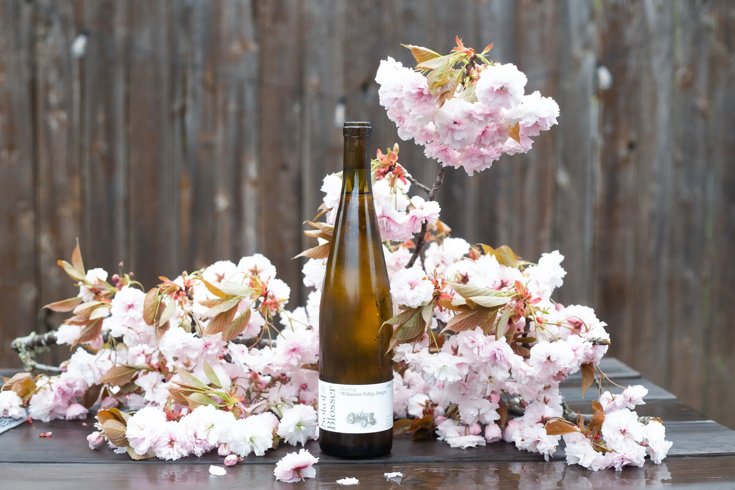 Oregon_wineries_jessleask-9270.jpg