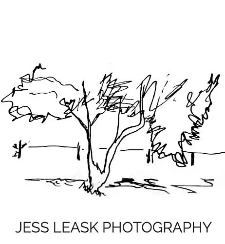 Jess Leask | Winery and Lifestyle Photographer | Yamhill County, Oregon
