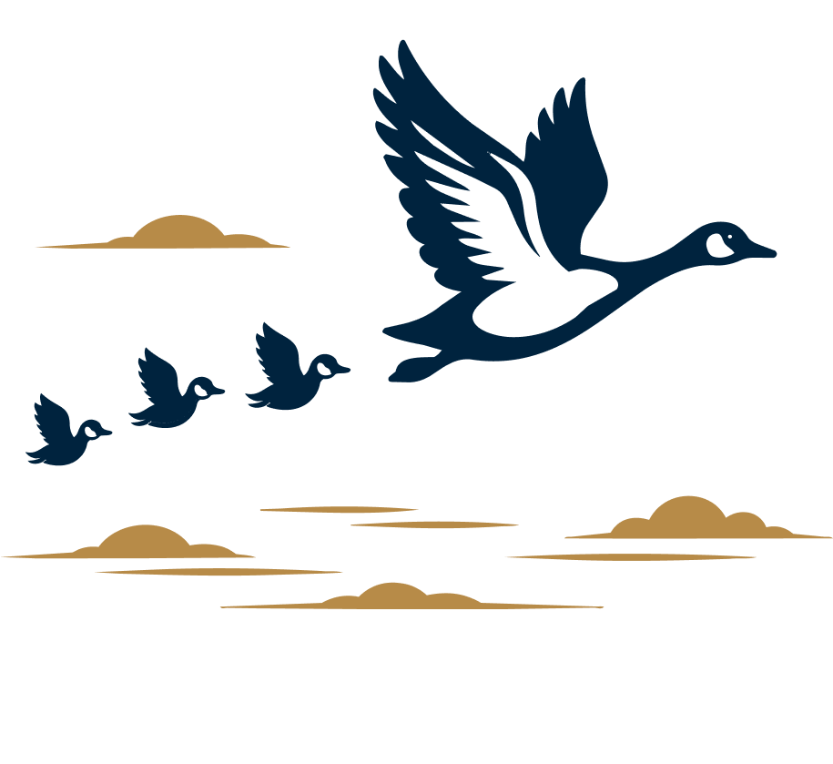 Illustration of a mother goose guiding three goslings as they are flying in the sky during sunset, with clouds in the background.