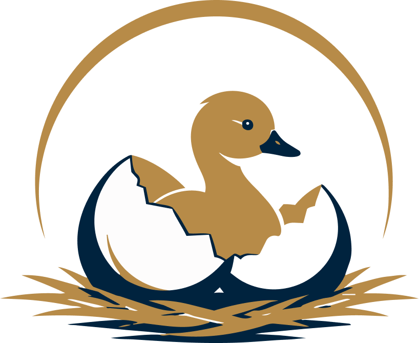 A small golden gosling emerging from an eggshell representing the beginning of financial guidance.