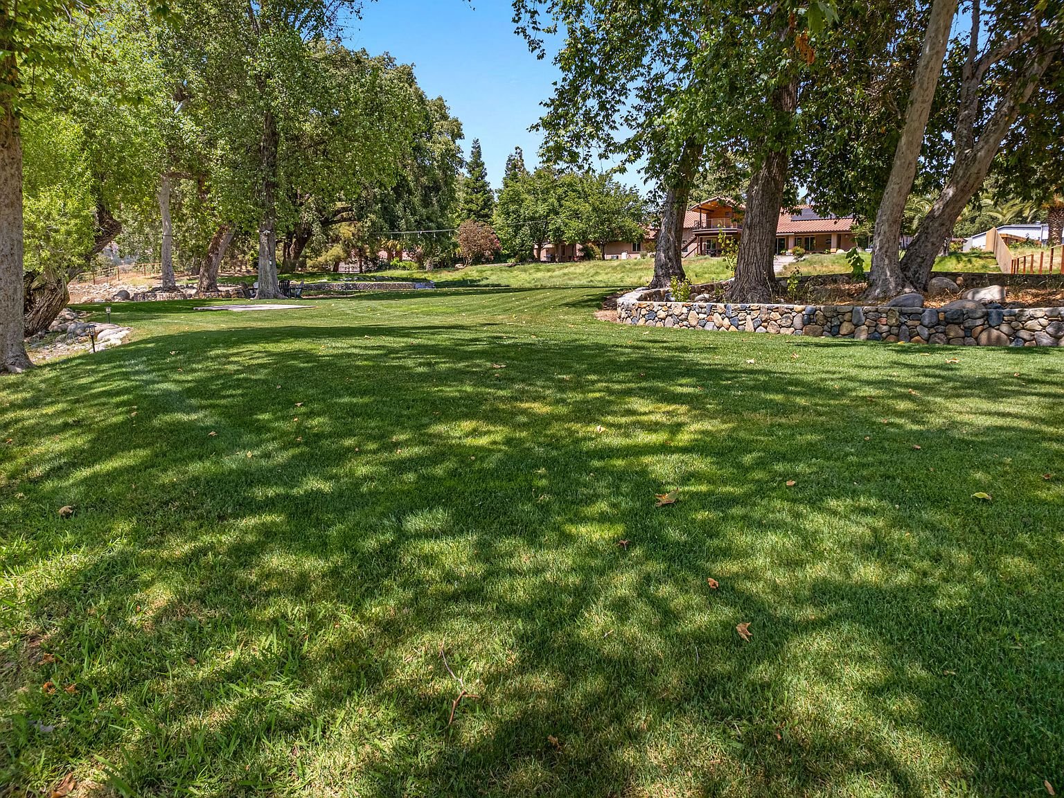 Backyard house view.jpg