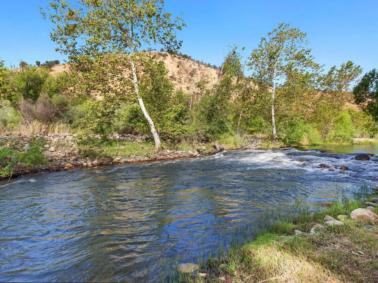 River.jpg