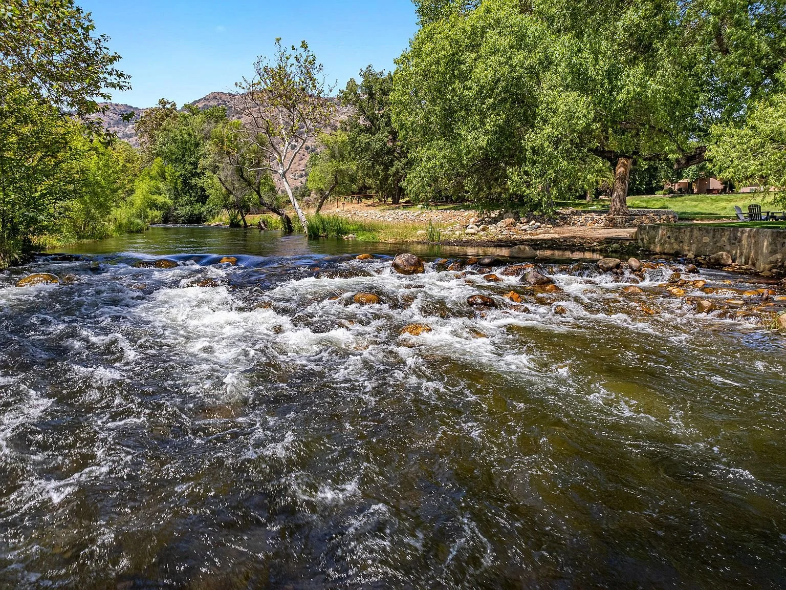 In the River.jpg