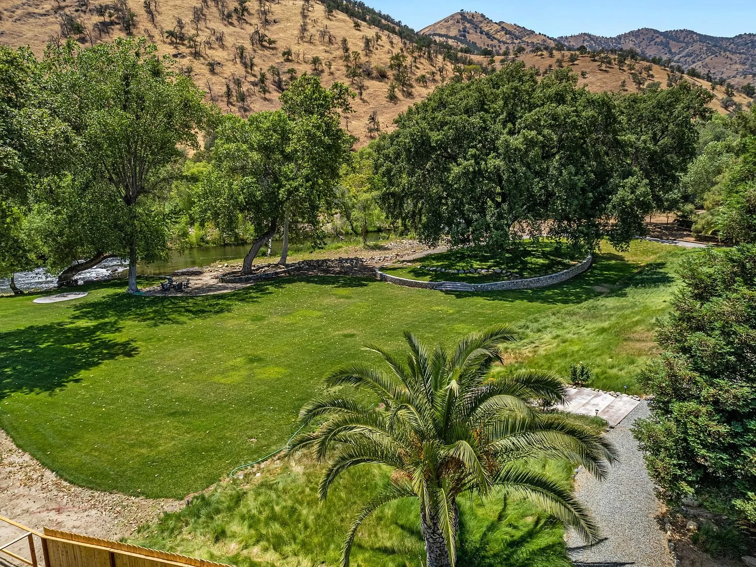 Backyard_Grass.jpg