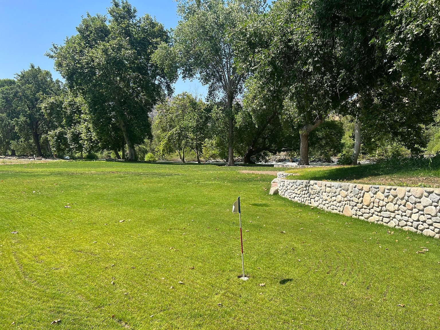 Golf - Backyard.jpg