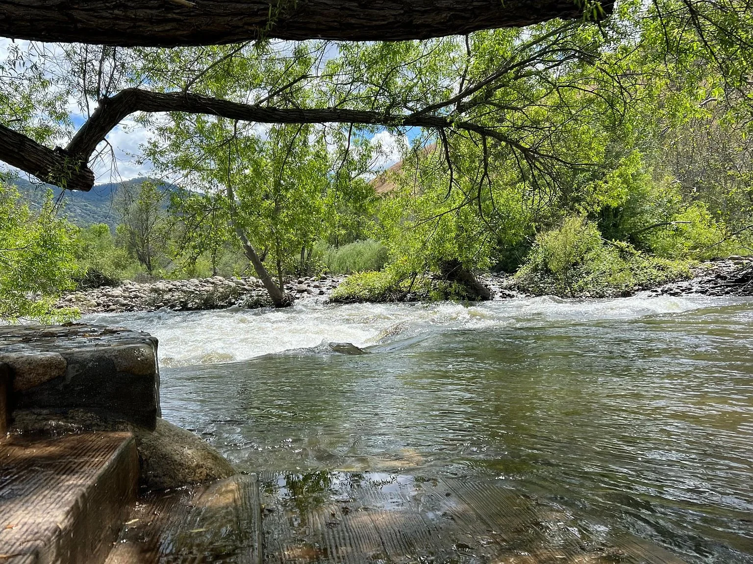 River steps.jpg