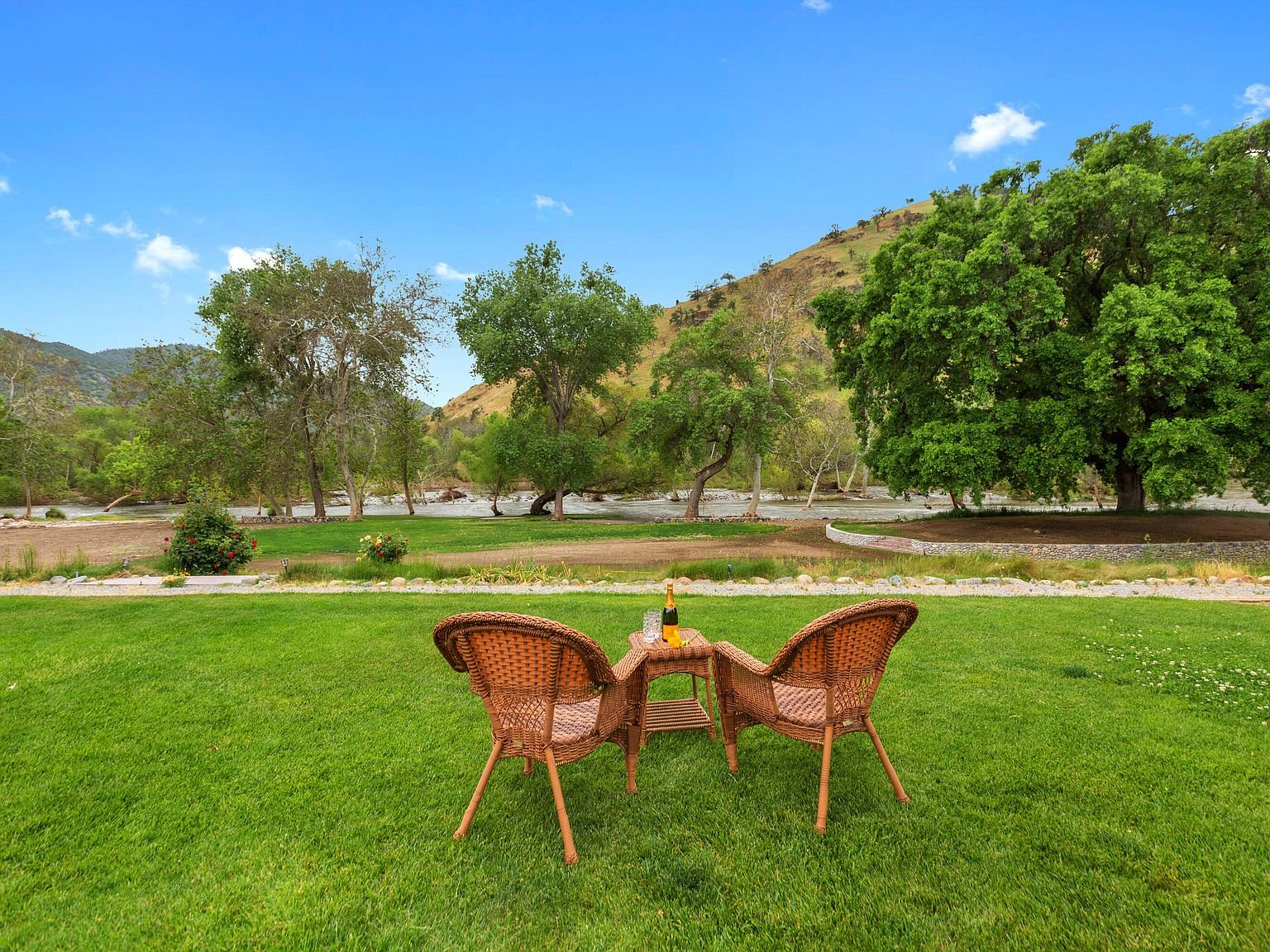 Backyard.jpg