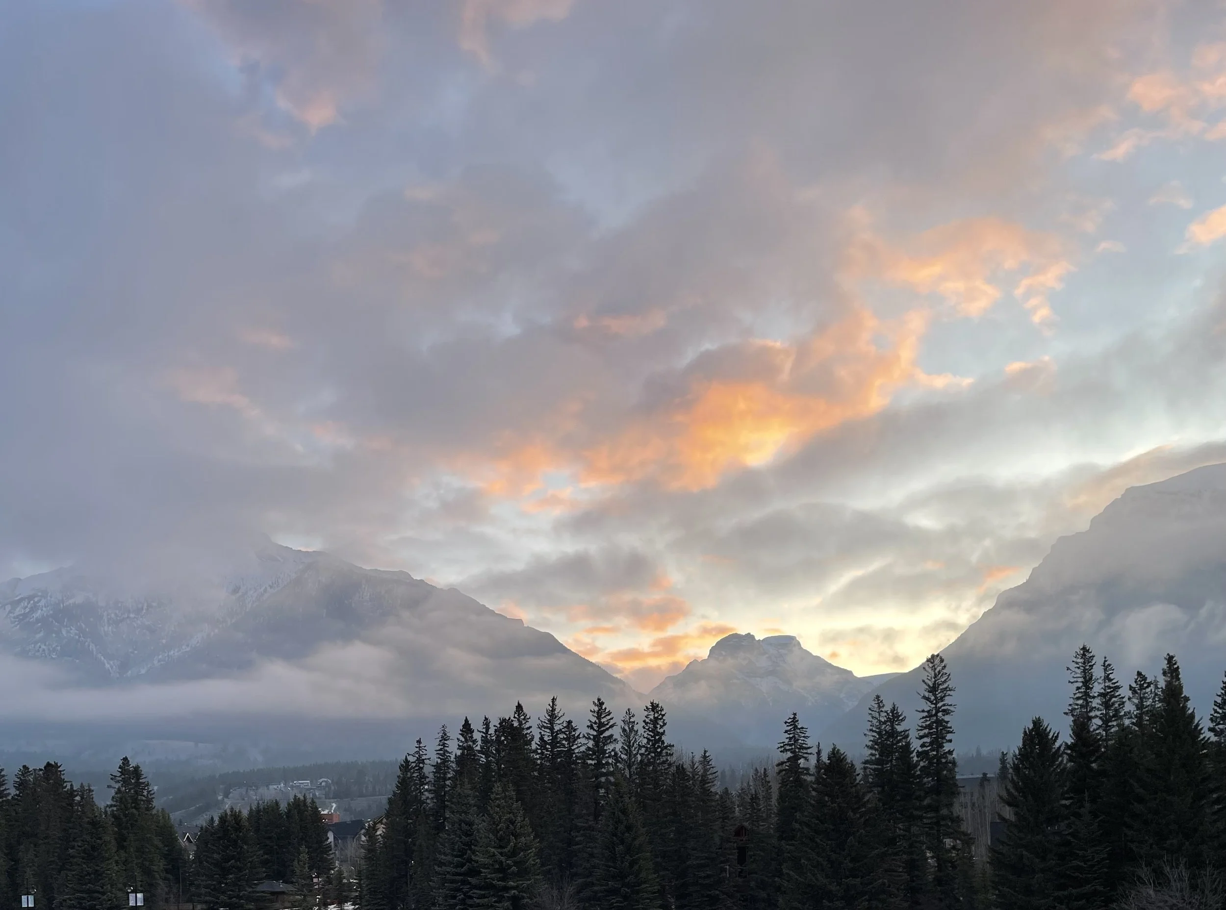 A mountain landscape at sunrise with snow-capped peaks, dense pine trees in the foreground, and a partly cloudy sky with orange and pink hues.