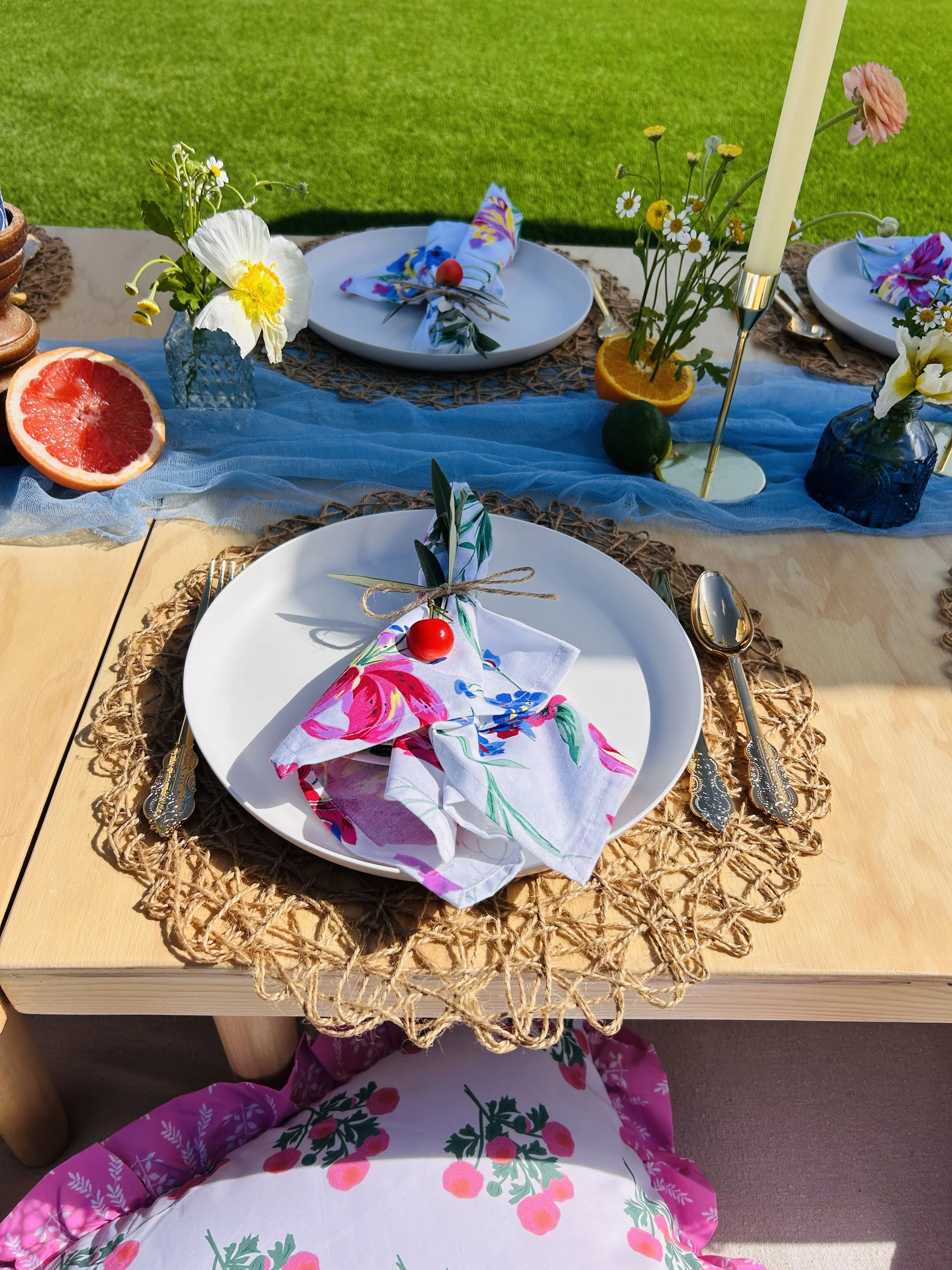 past picnics 4.jpeg