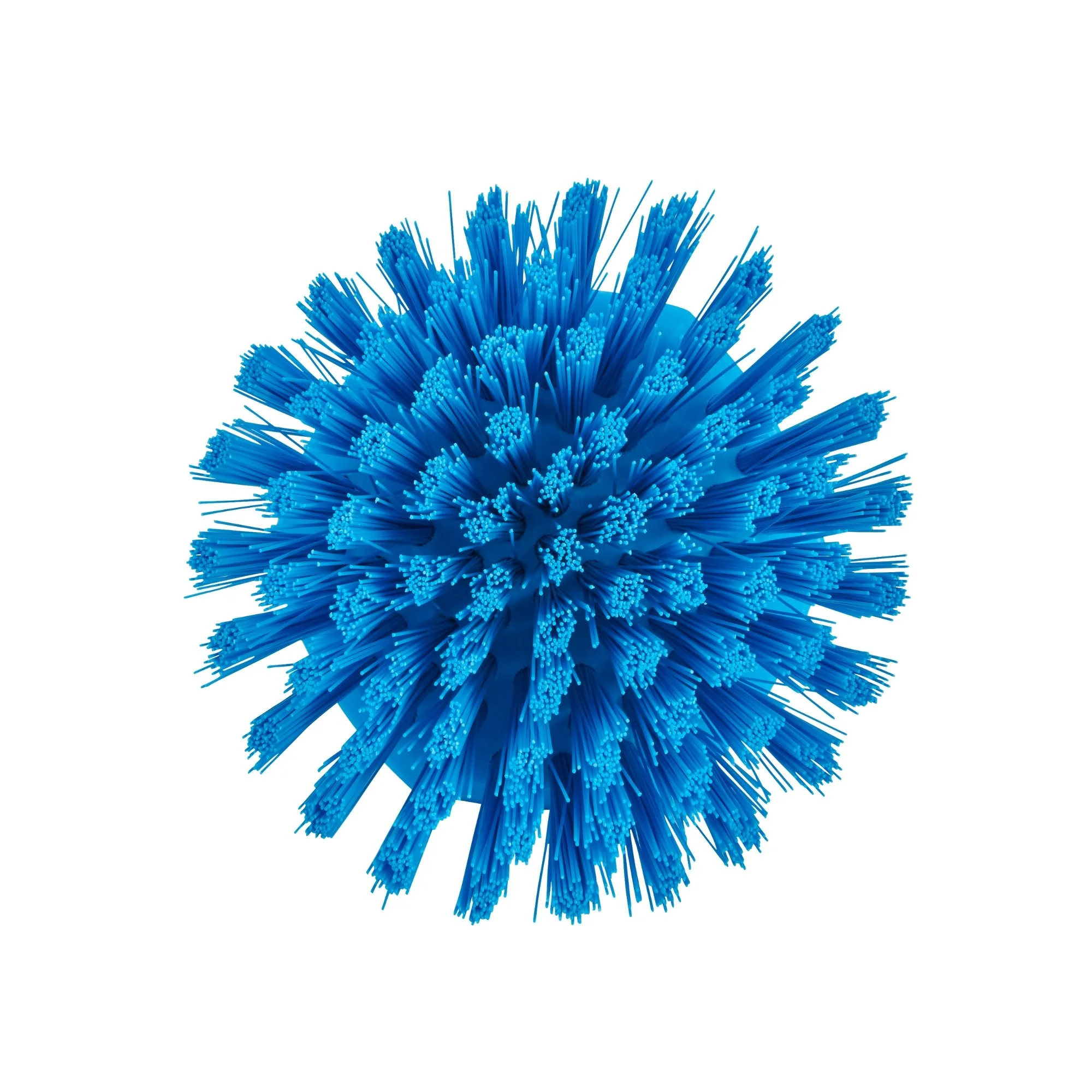 3885 blue.jpg