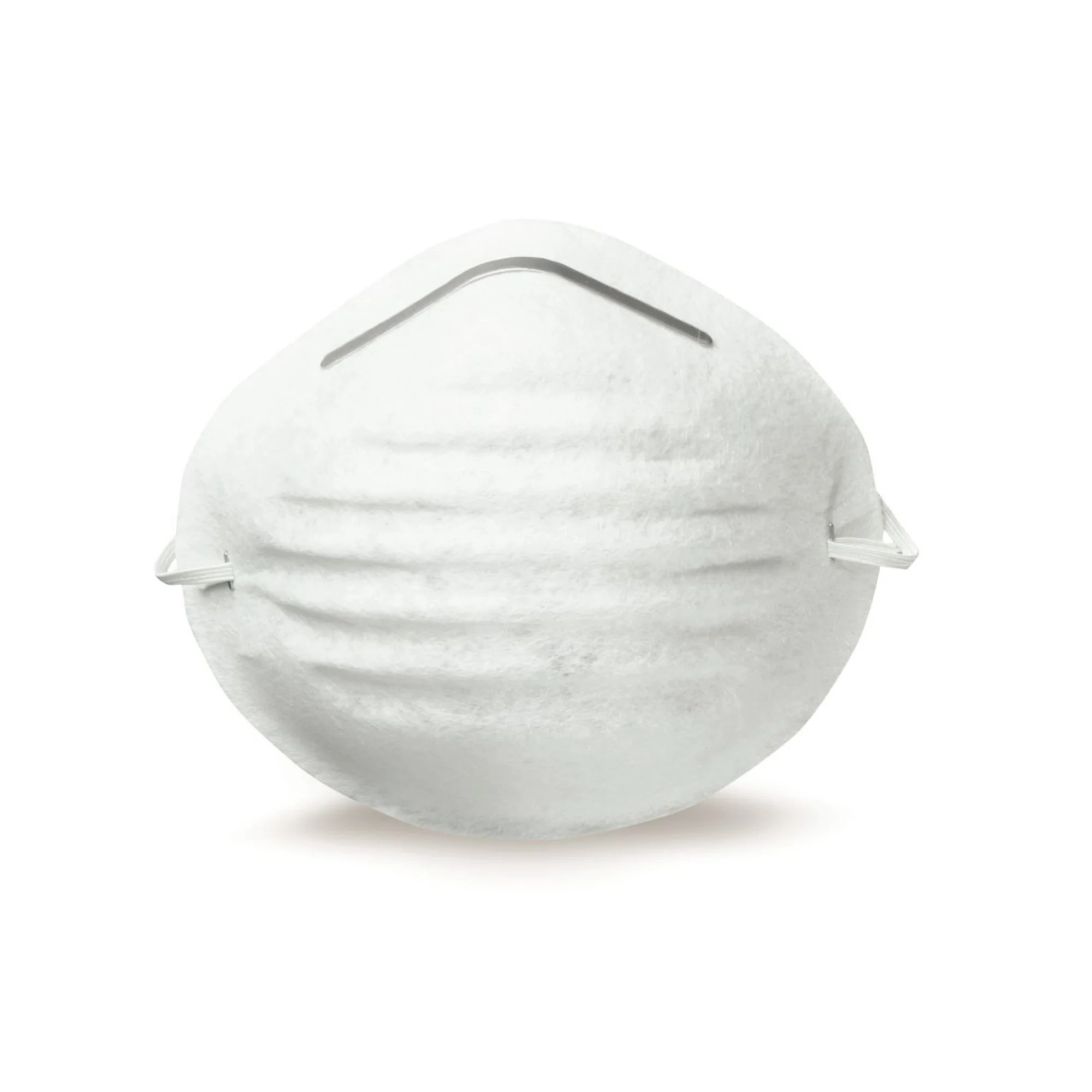 Disposable Dust Mask