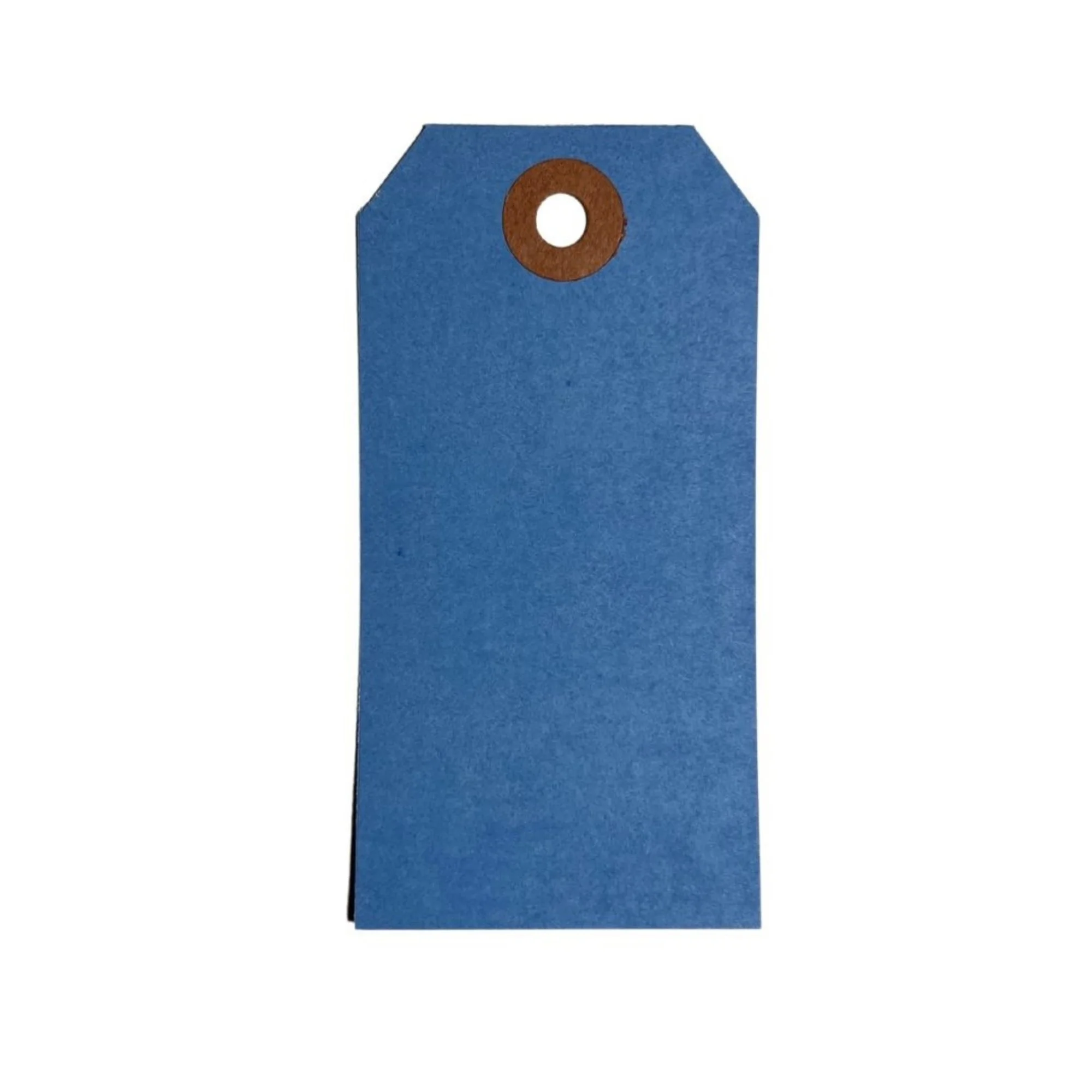 Colored processing tags blue.jpg