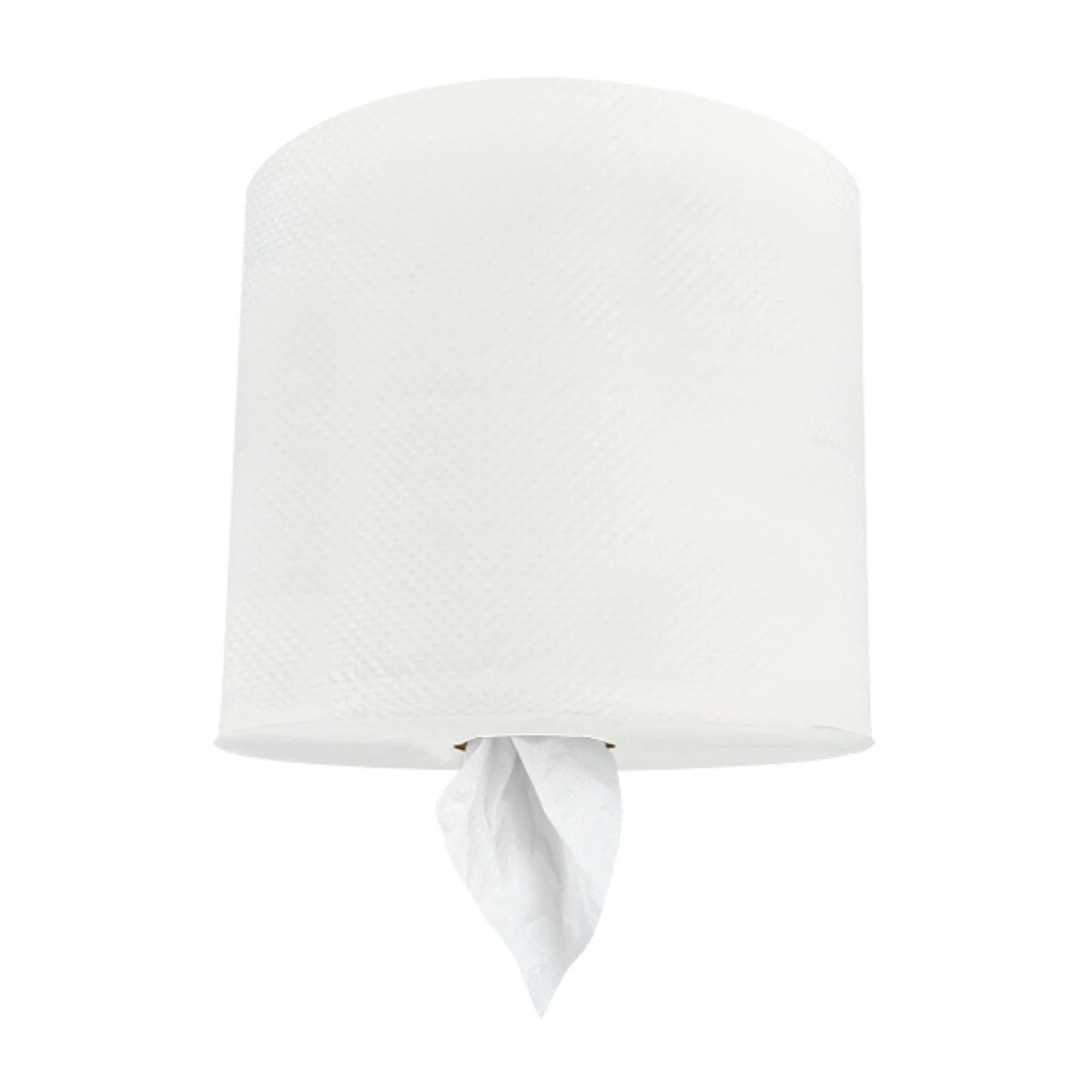 Center-Pull Paper Towels