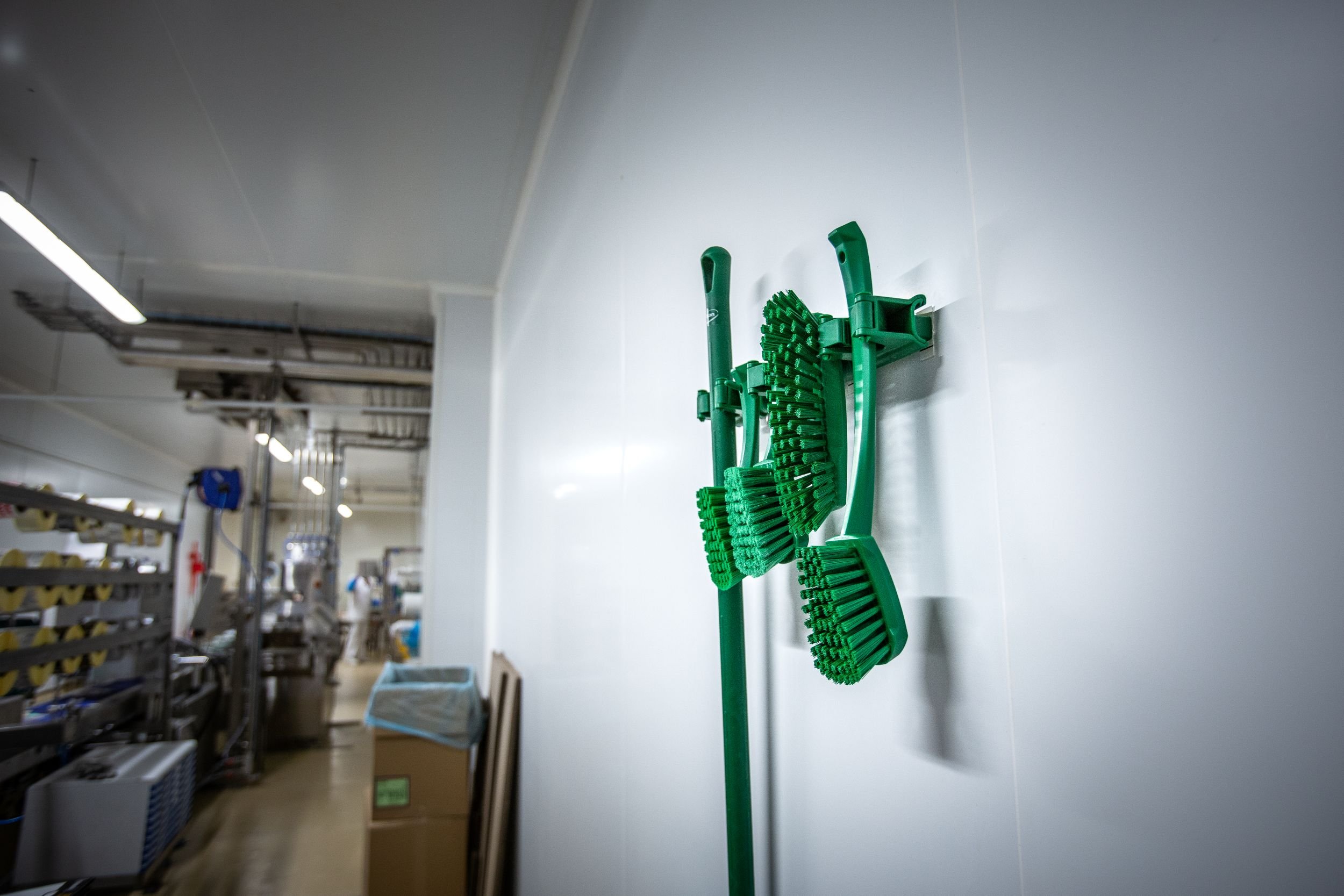Green wall bracket system