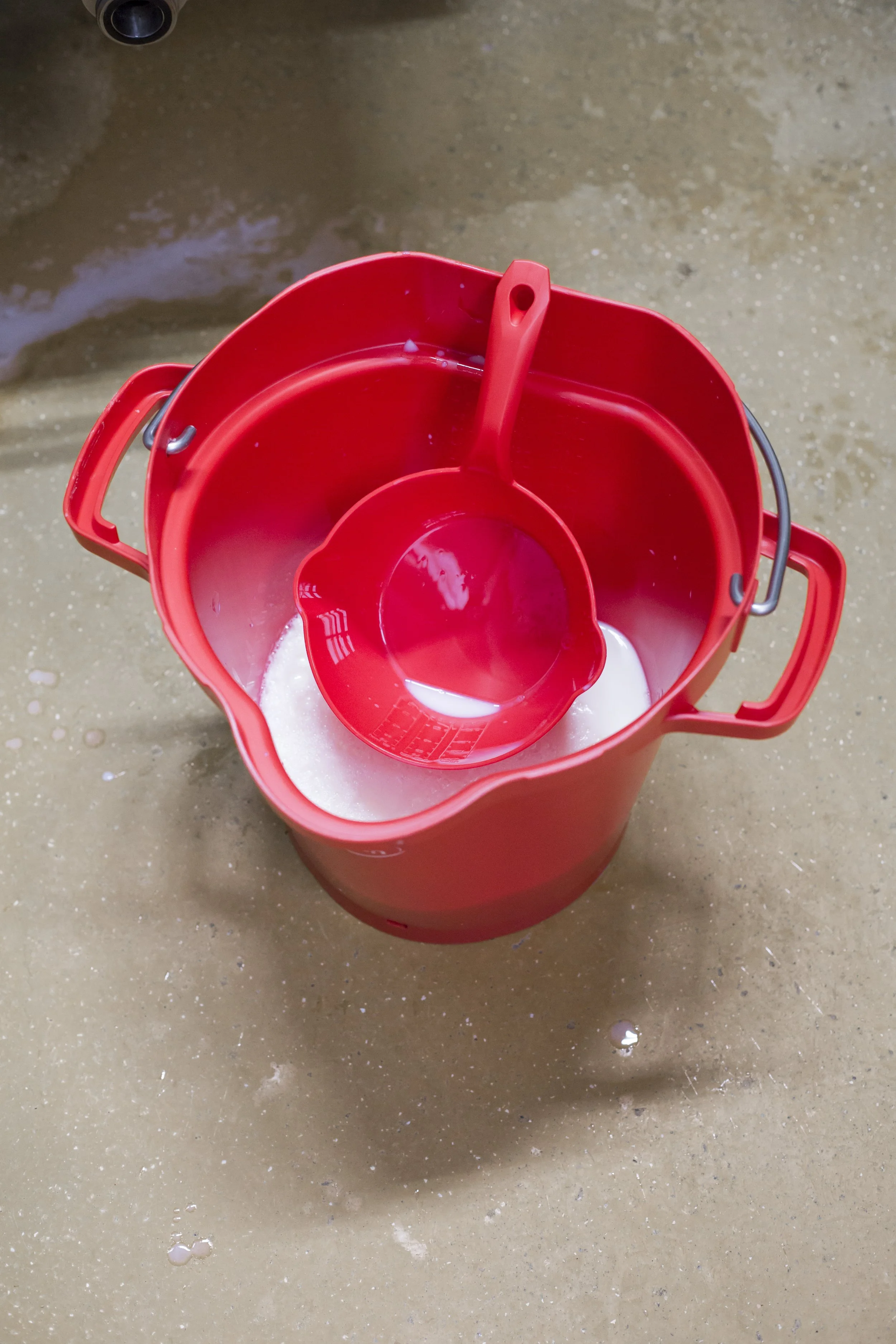 Red bucket