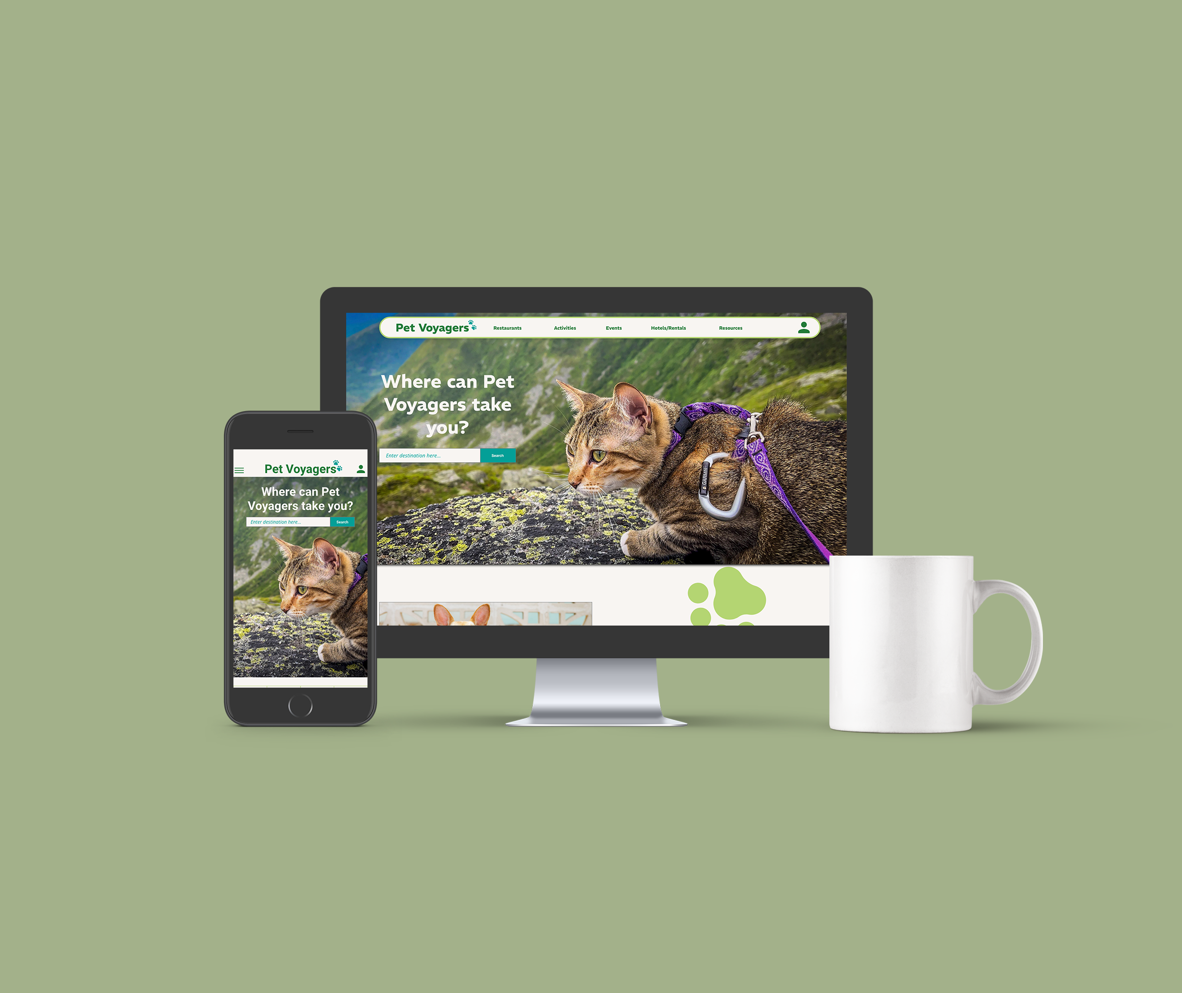 Pet Voyagers Web Design