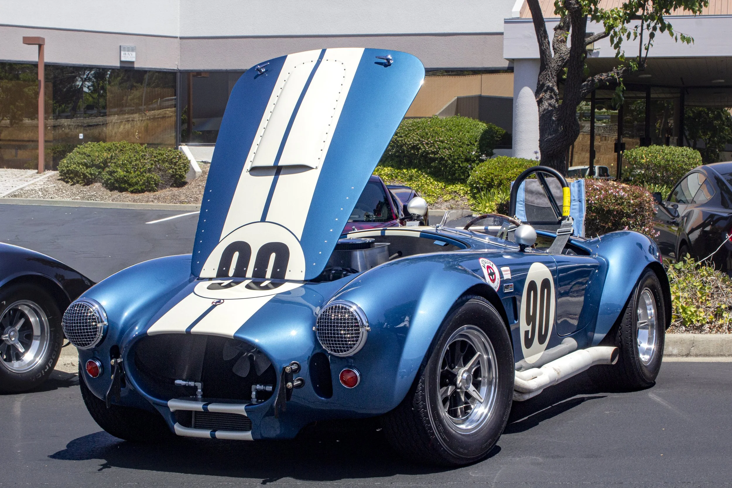 Blue Cobra -1.JPG