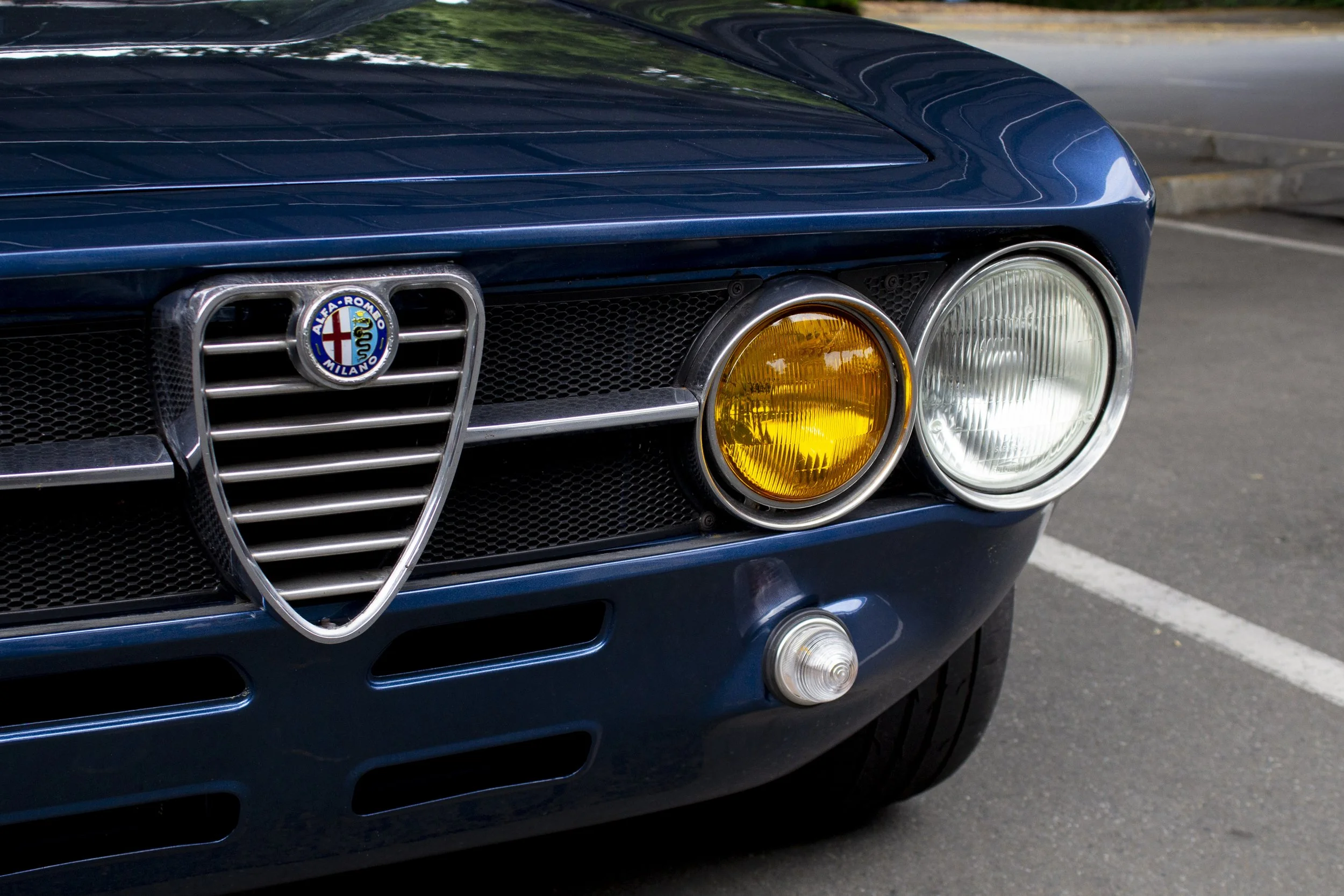 ALFA -2.JPG