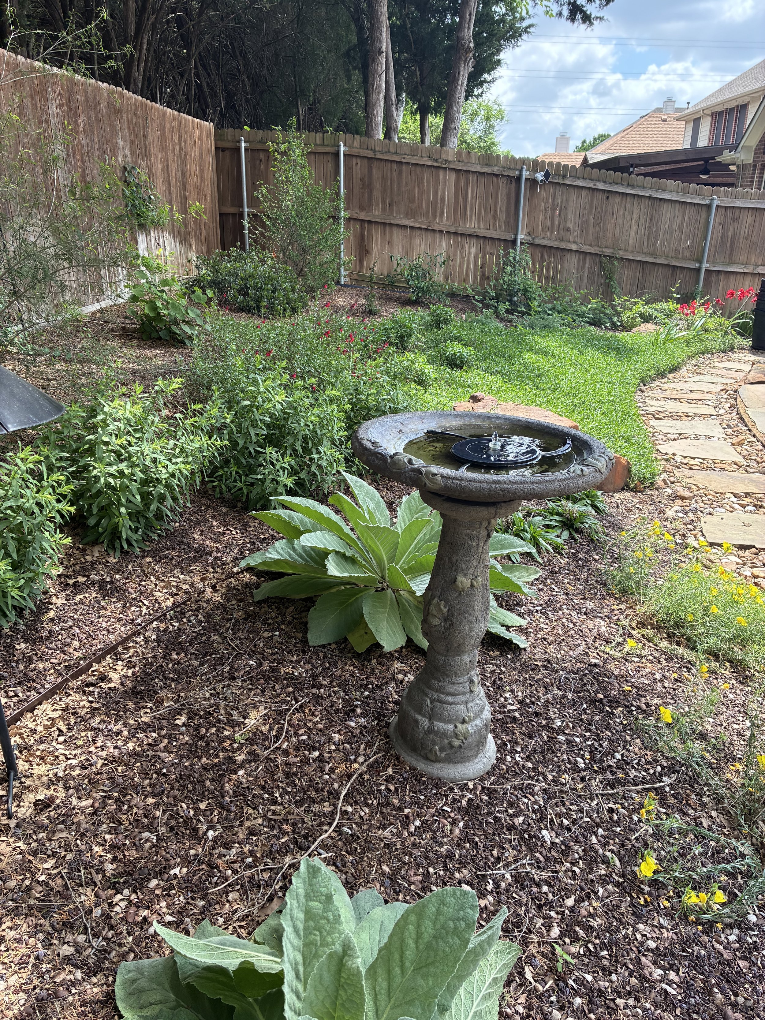 A backyard garden with a stone birdbath, various plants, and a curved stone pathway, enclosed by a wooden fence with trees in the background.