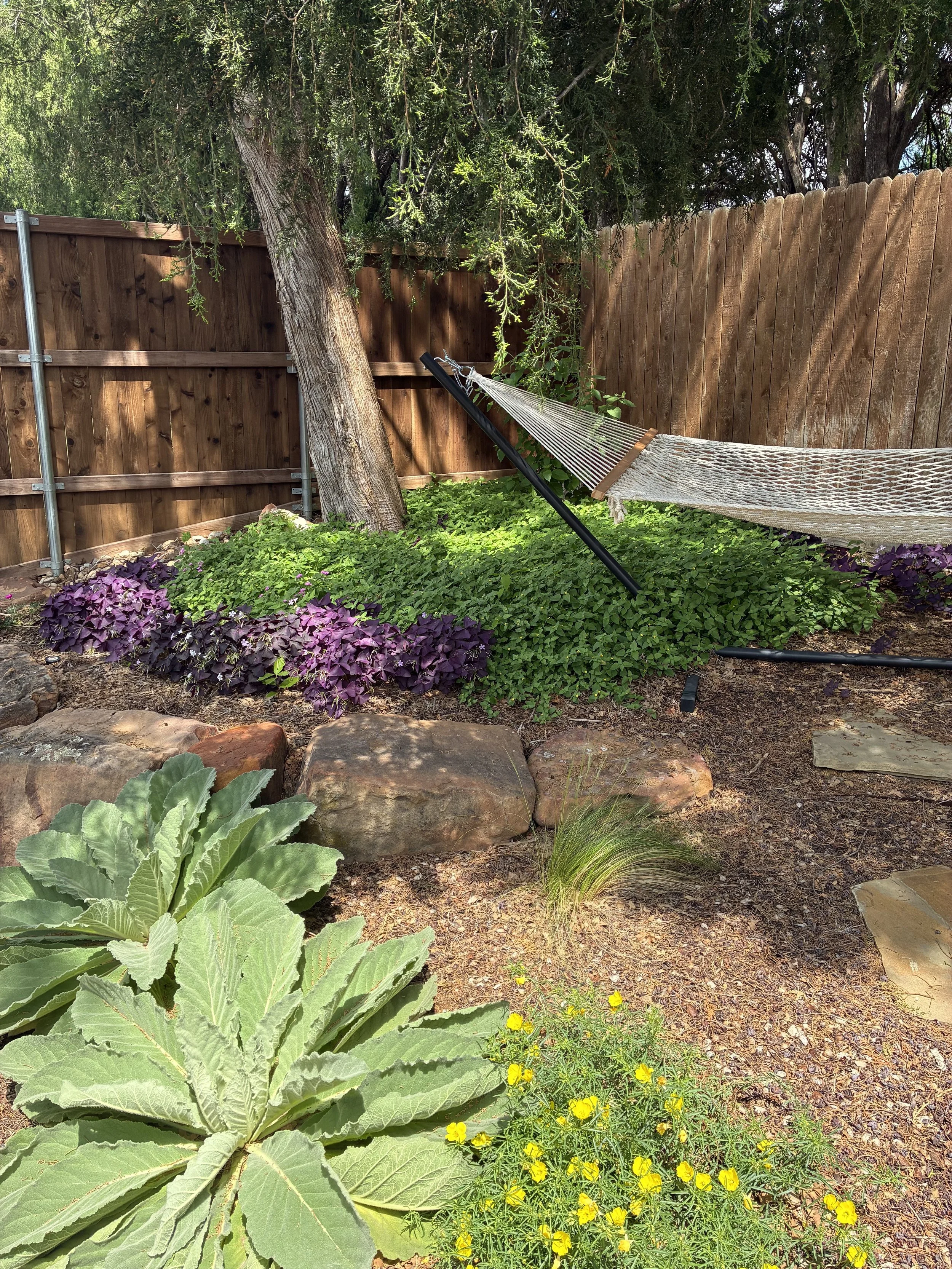 A backyard with a hammock tied between a tree and a stake, surrounded by rocks, green and purple plants, and a wooden fence.