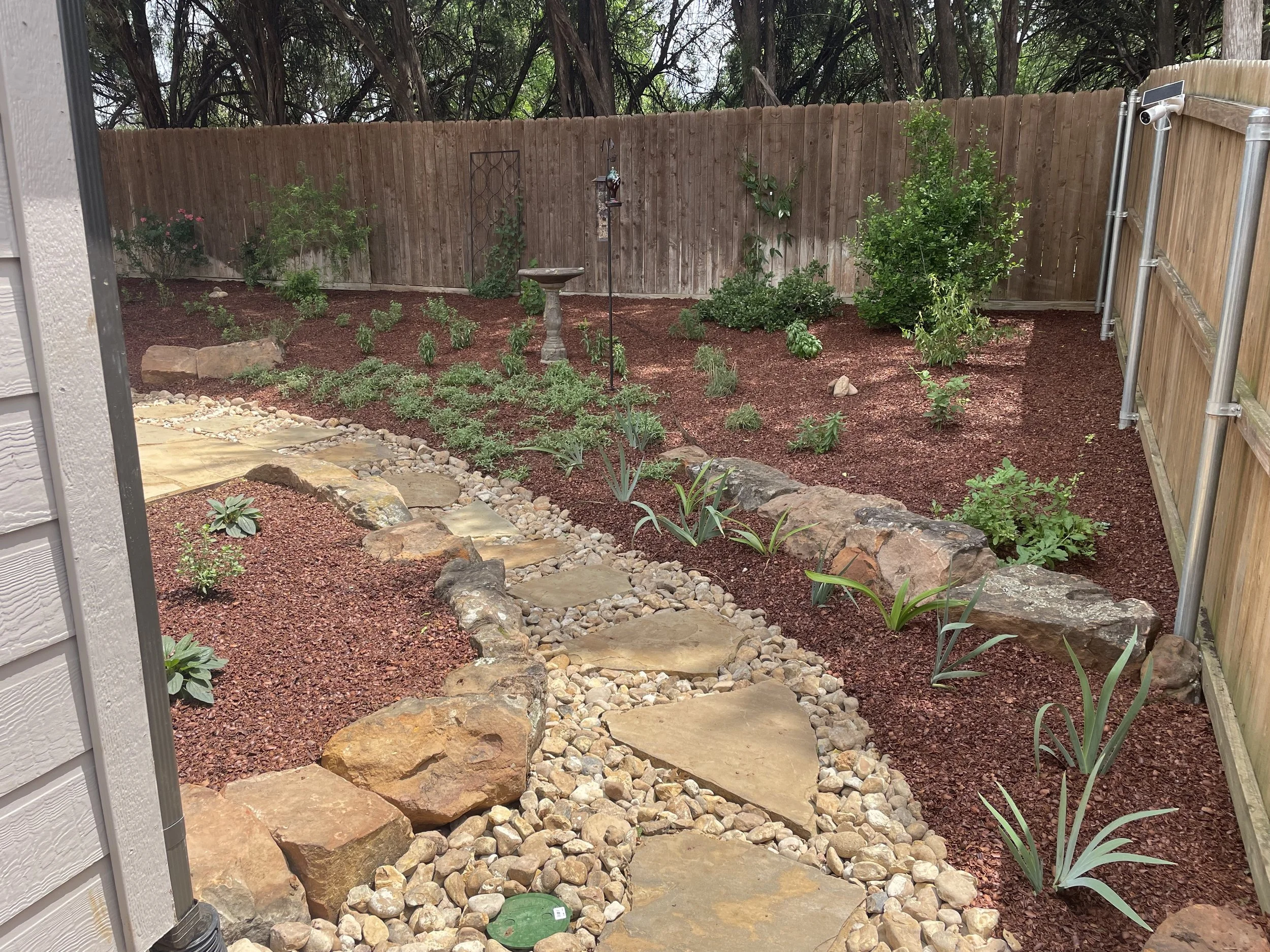 A backyard garden with a stone pathway, mulch beds, various plants, and a wooden fence.