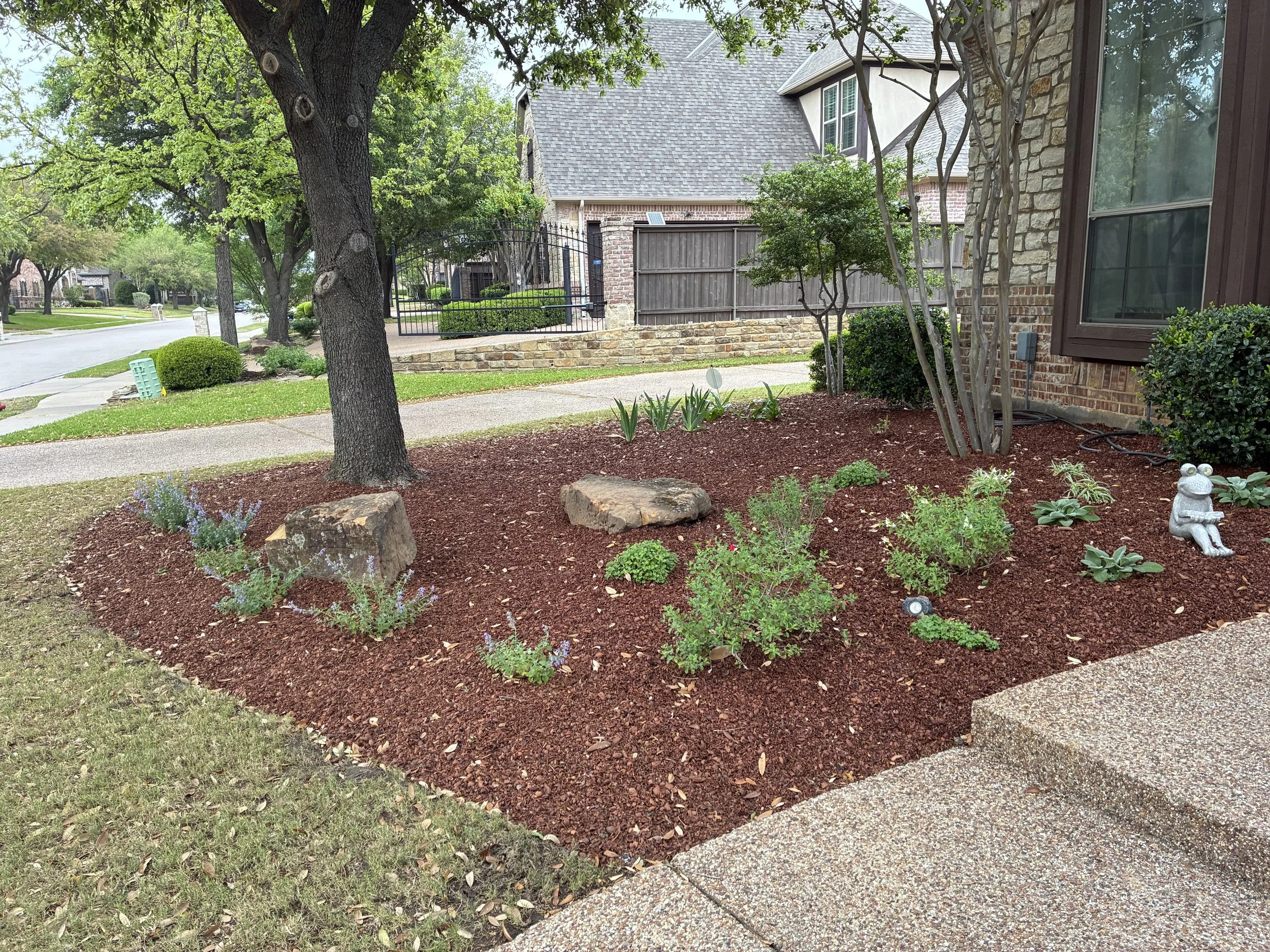 A front yard garden with mulch, small plants, rocks, trees, a frog figurine, and a house with brick and siding exterior.