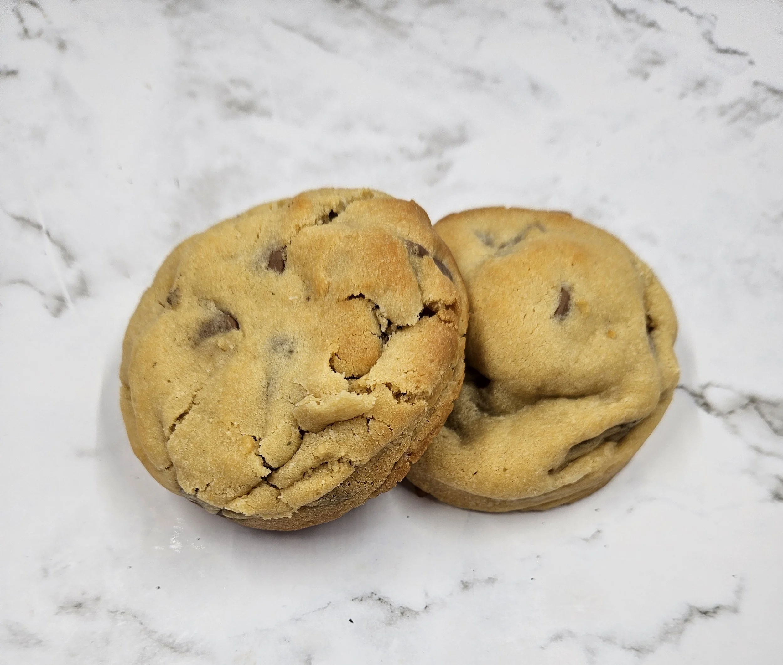 1000098057.jpg (Copy)