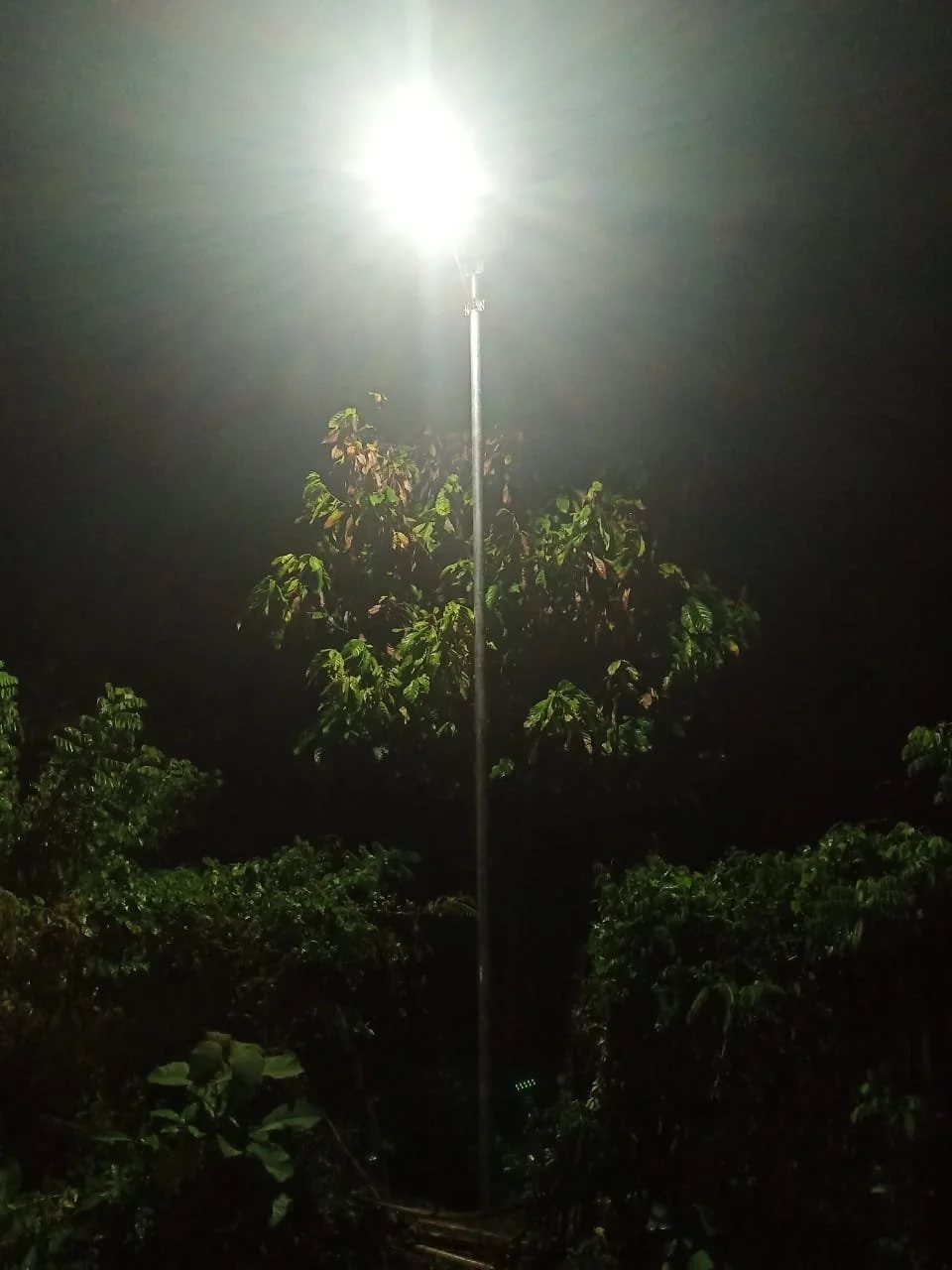 WhatsApp Image 2020-05-22 at 11.08.46 (1).jpeg