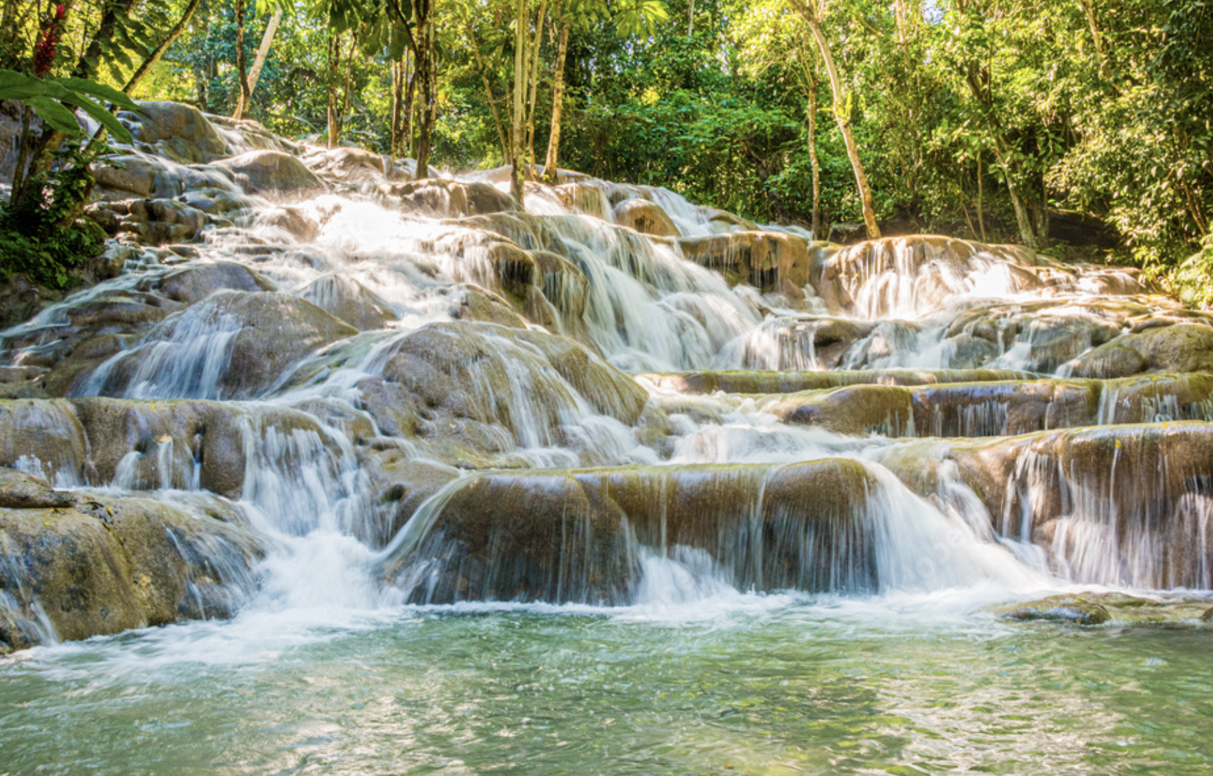 A cascading waterfall flowing over rocks in a lush green forest.