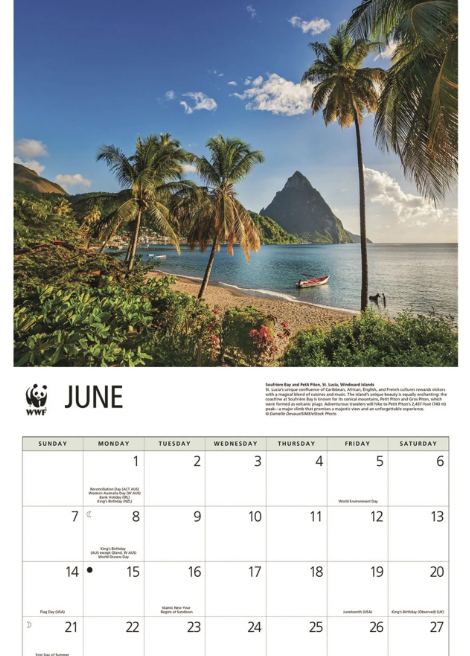 Beach with palm trees, boats, mountain in the background, and a calendar for June.
