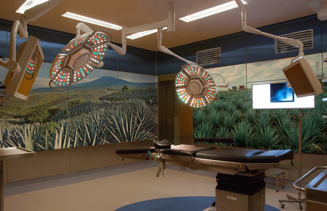 7-agave.jpg