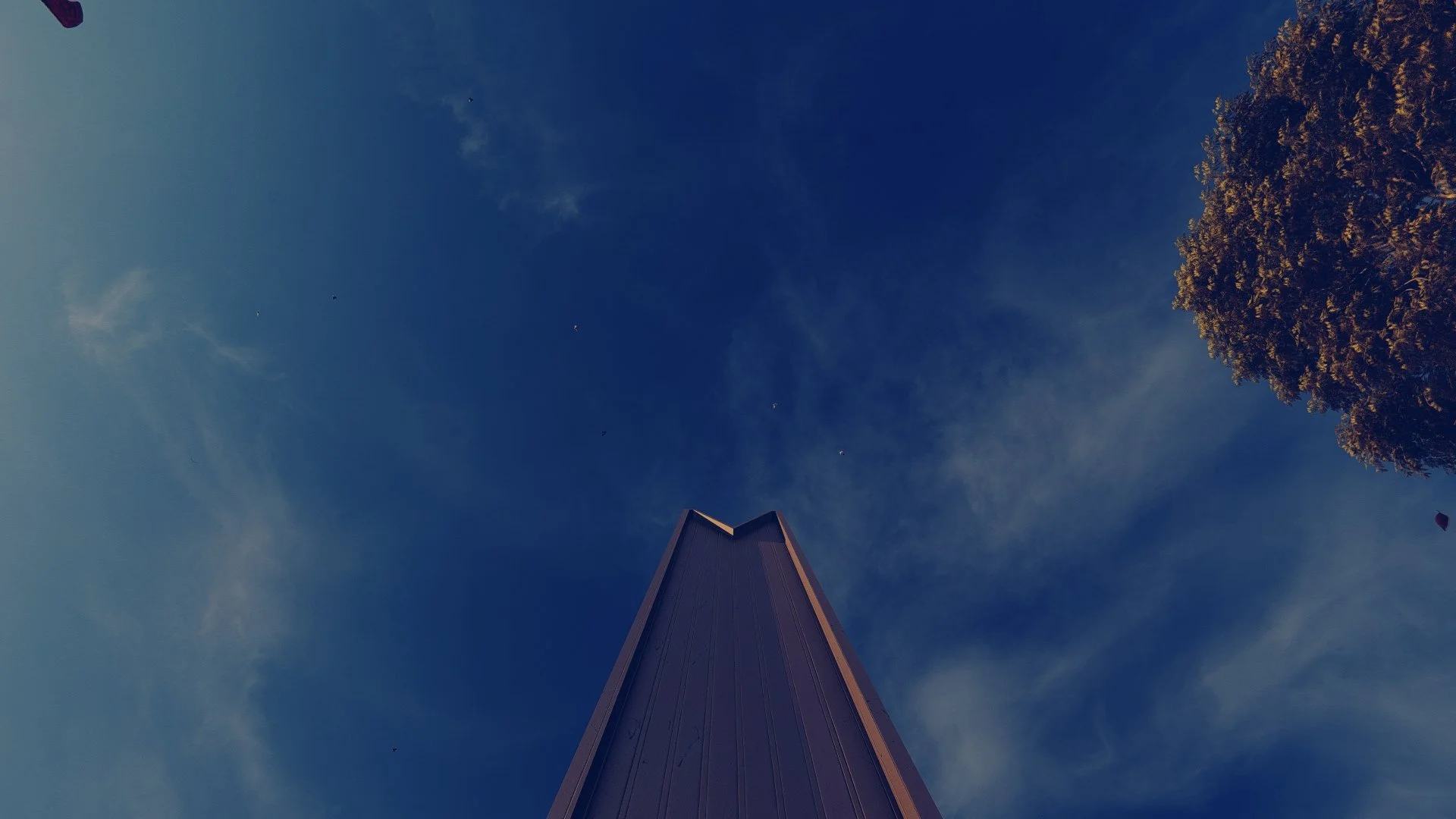 Copy of 7.jpg