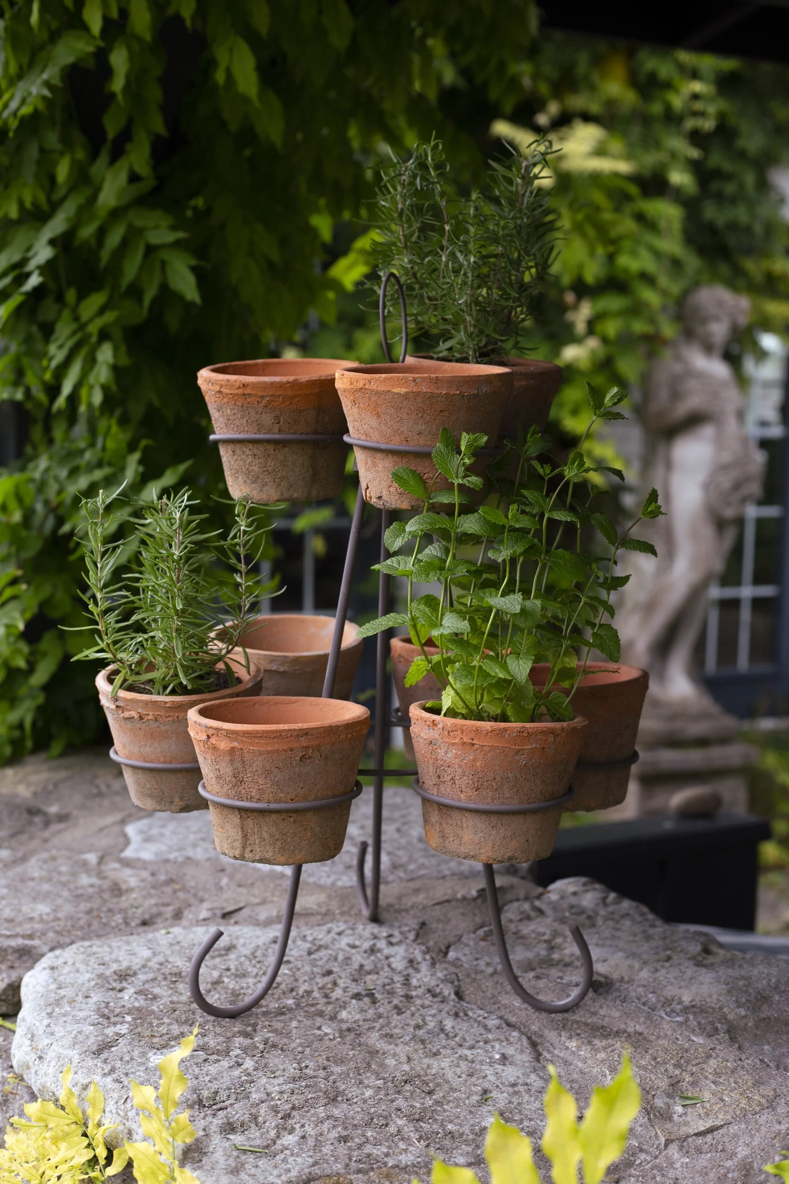 Herb Pots Cressy House-30.jpg