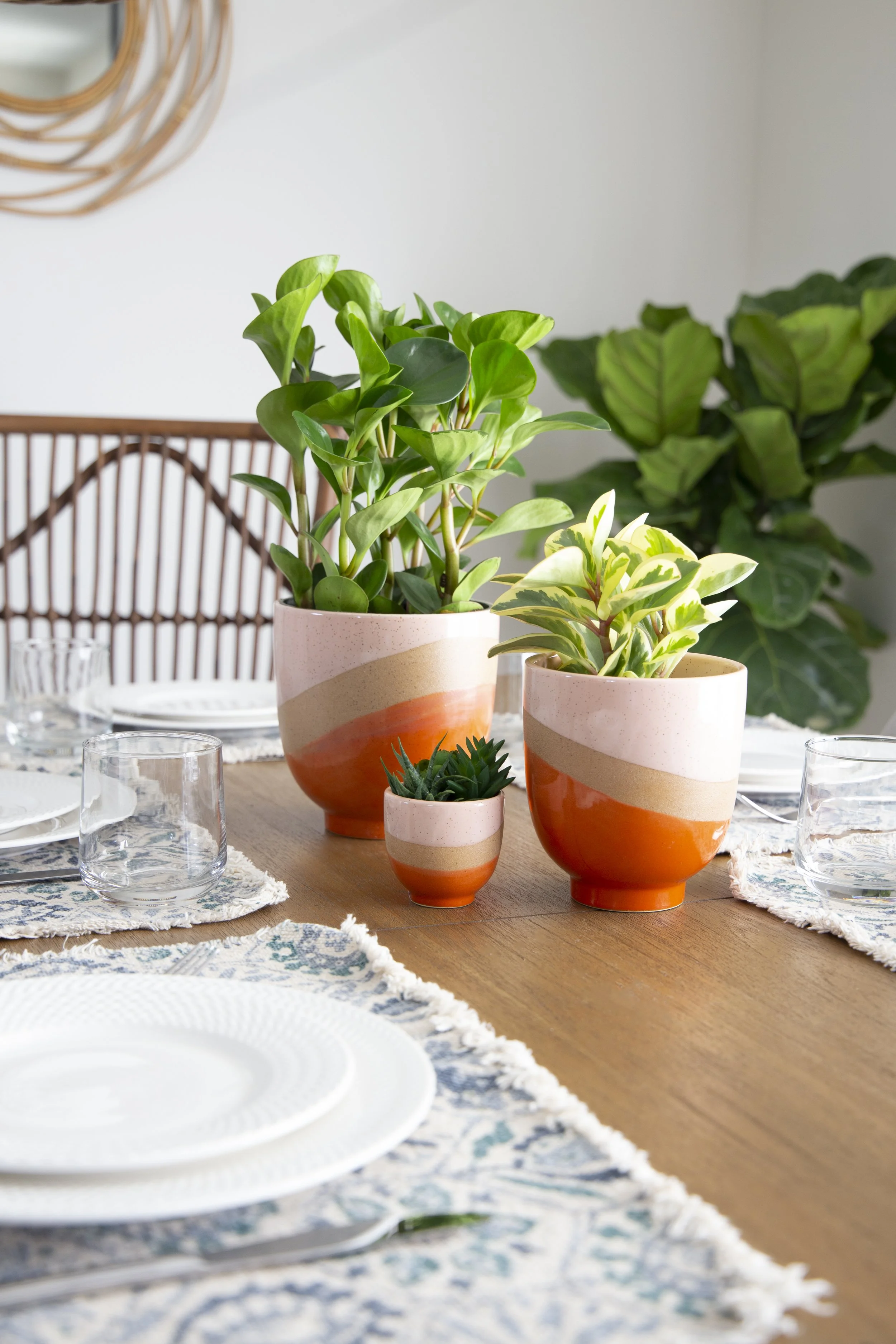 Toronto-food-product-photography-styling-pink and orange pot trio.jpg