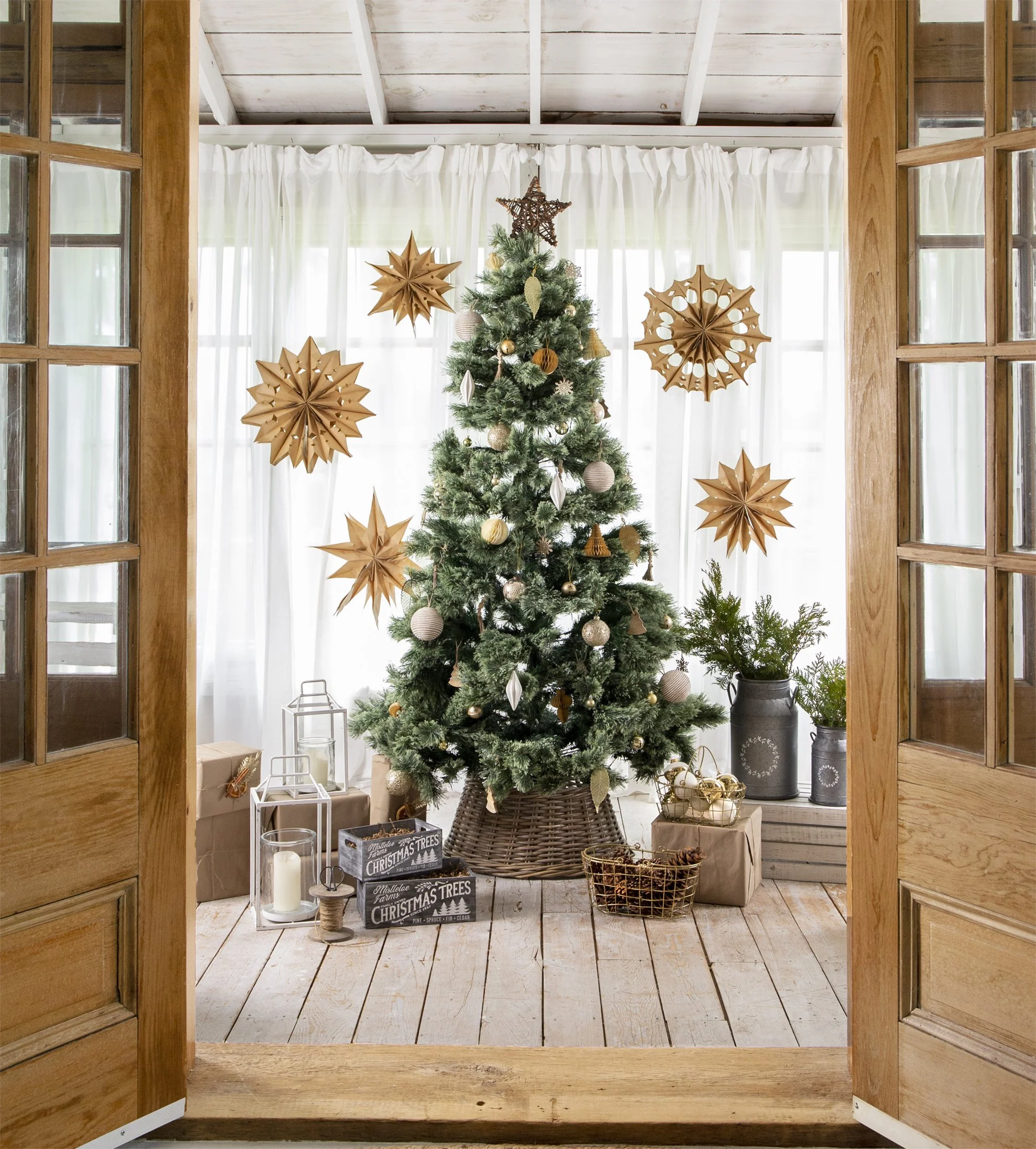 Christmas Tree Beauty lg copy.jpg